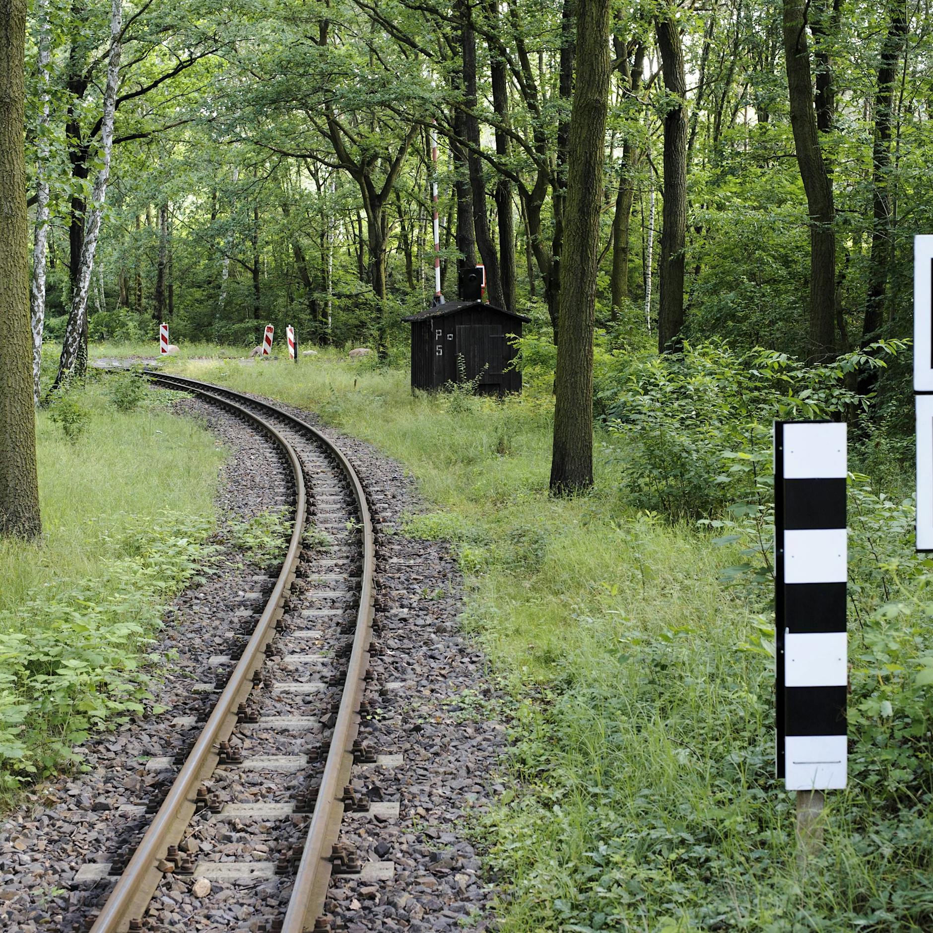 Über eine halbe Million Euro! Bauarbeiten in der Wuhlheide haben begonnen