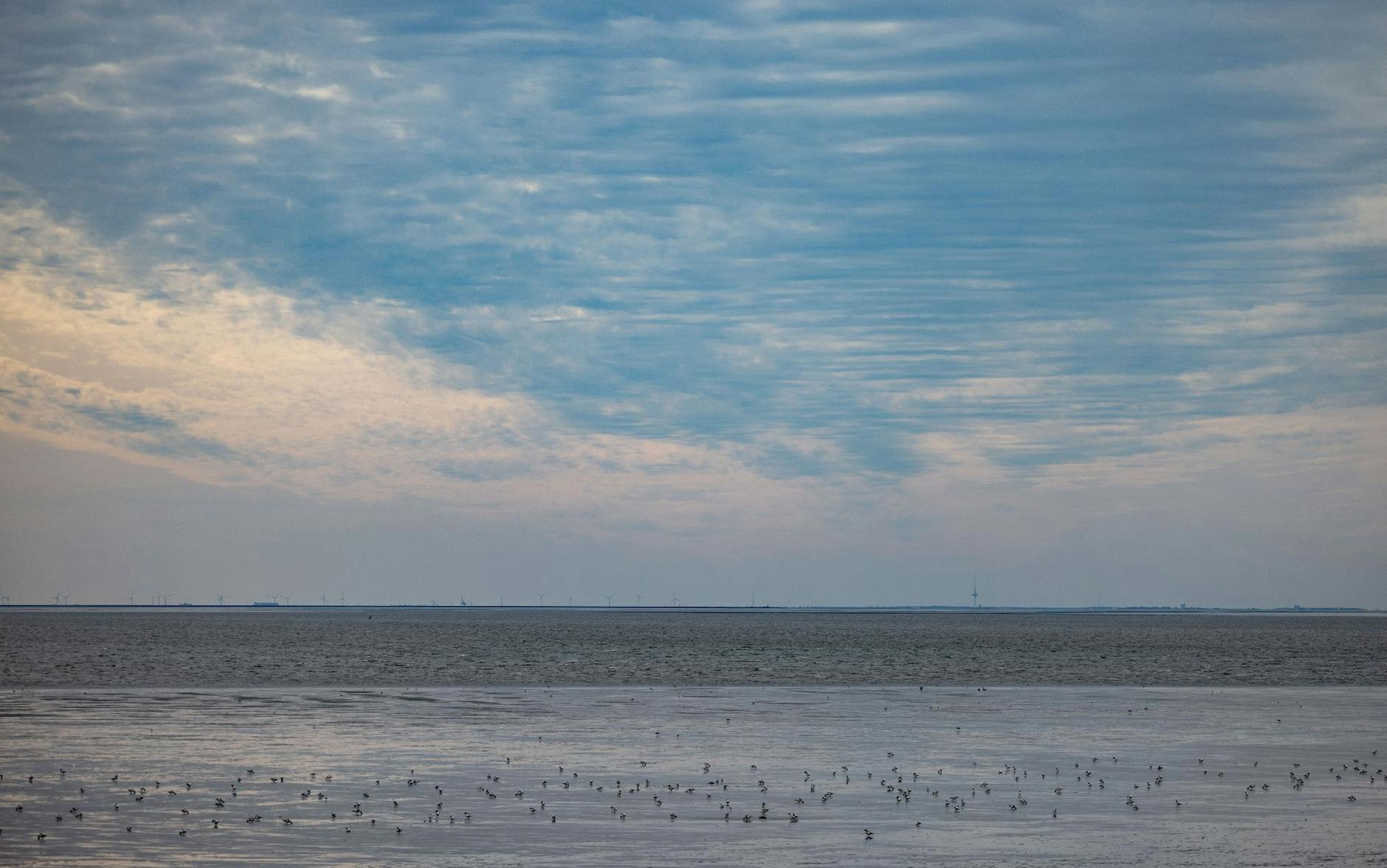 ARCHIV - Die Wassertemperatur der Nordsee steigt.