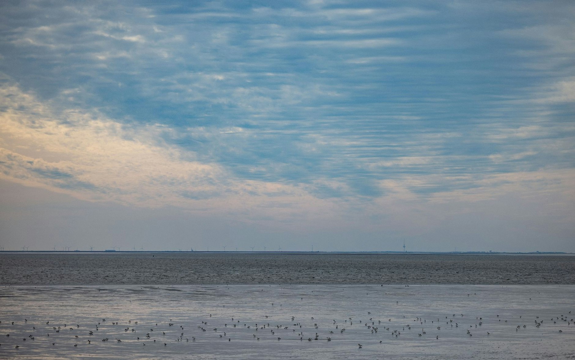ARCHIV - Die Wassertemperatur der Nordsee steigt.  