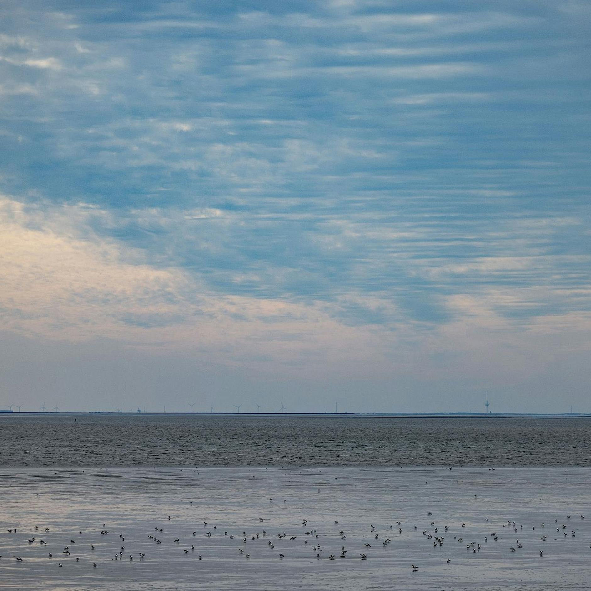 Temperatur der Nordsee auf Rekordhoch