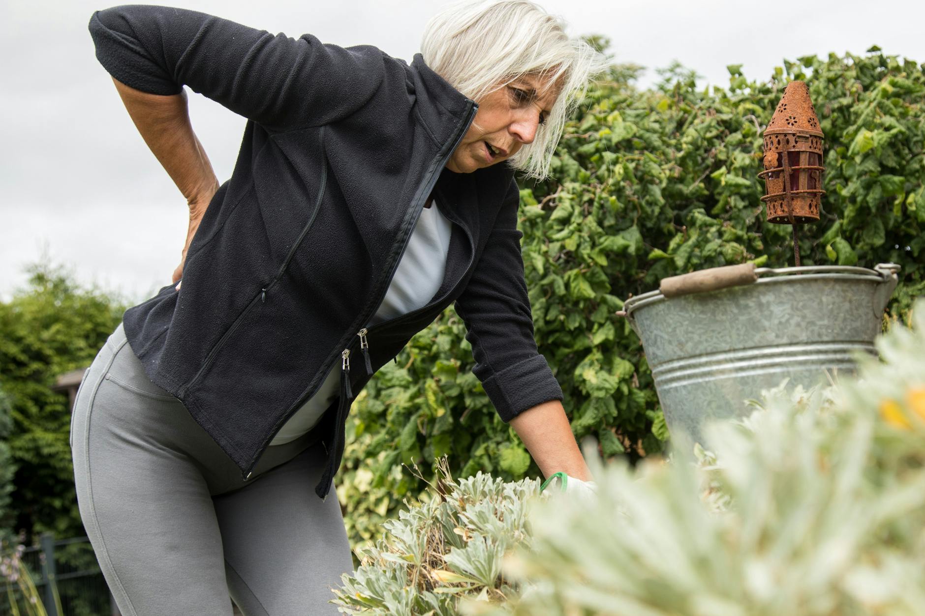 Unkrautjäten ist auf Dauer Gift für den Rücken.