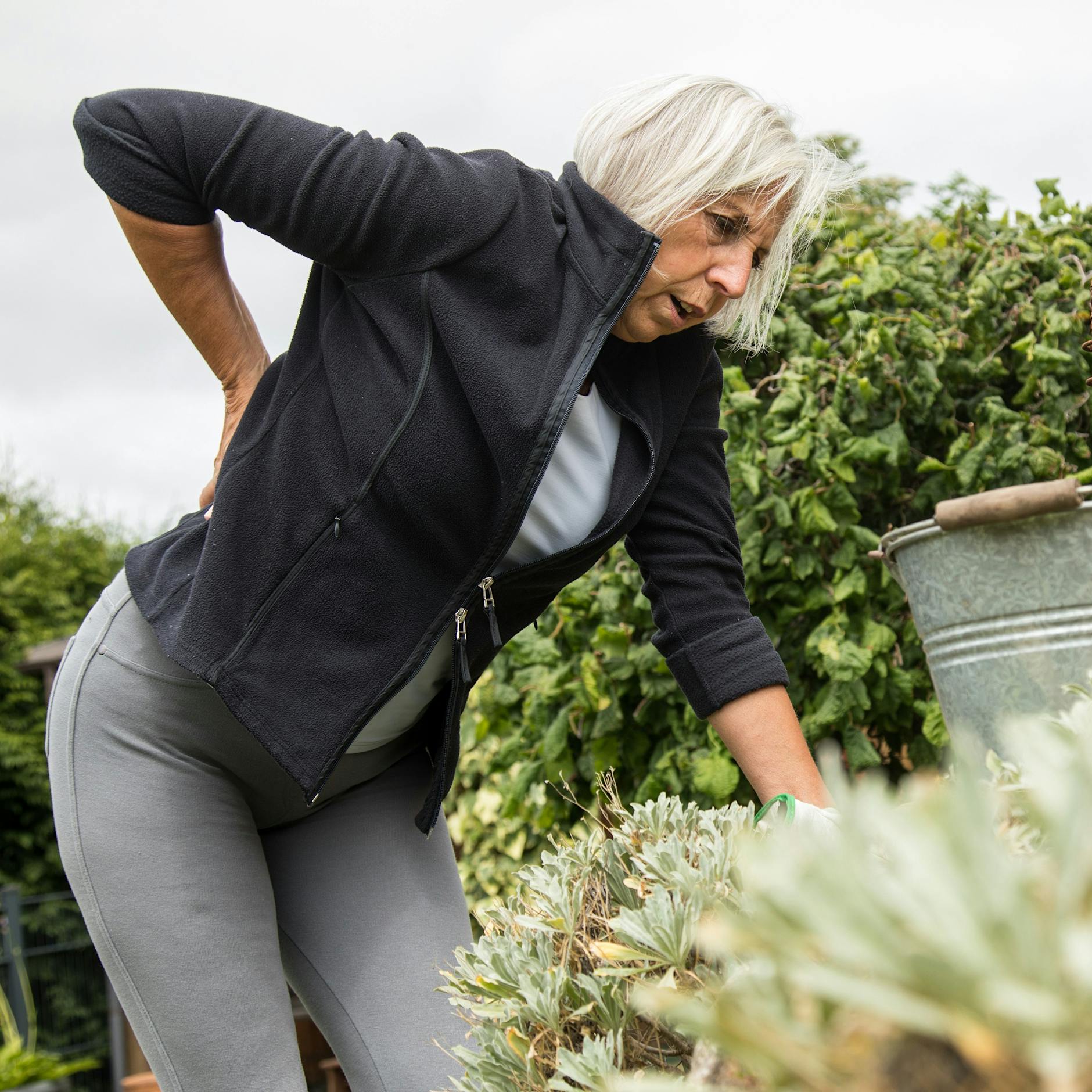 Haben Sie Rückenschmerzen nach der Gartenarbeit? Das hilft bei „Rücken“
