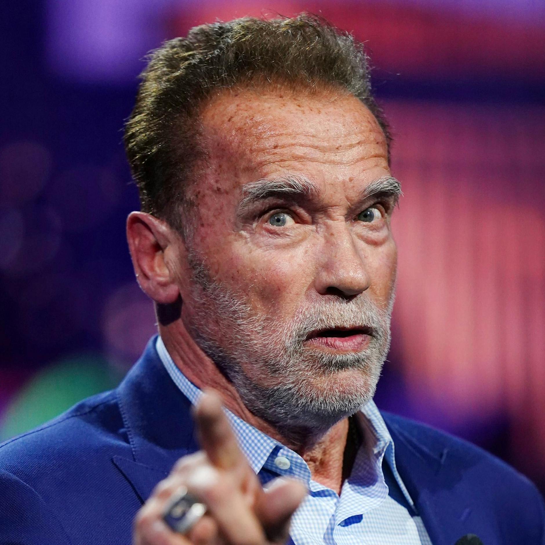 Image - Arnold Schwarzenegger in Berlin zum Ehrendoktor ernannt