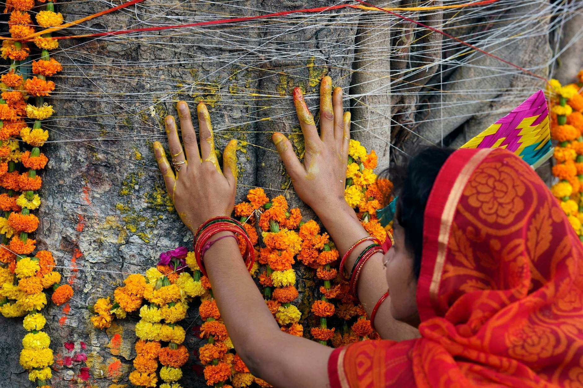 Eine Frau berührt den Stamm eines Banyan-Baums, nachdem sie im Rahmen der Rituale zum Vat-Purnima-Fest in Prayagraj, Indien, ein Band um ihn gebunden hat. Vat-Purnima oder Vat Savitri wird an einem Vollmondtag gefeiert, an dem verheiratete Frauen für die Langlebigkeit ihrer Ehemänner beten.  