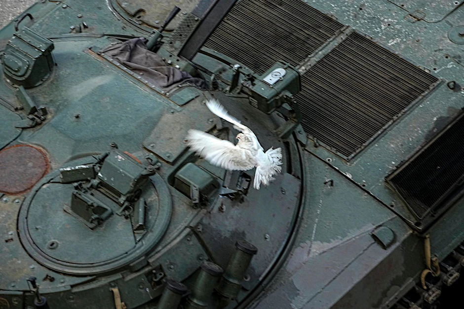 Eine weiße Taube fliegt über ein ukrainisches Luftkampffahrzeug bei einer Ausstellung erbeuteter ukrainischer Panzer und Waffen in Lyssytschansk.