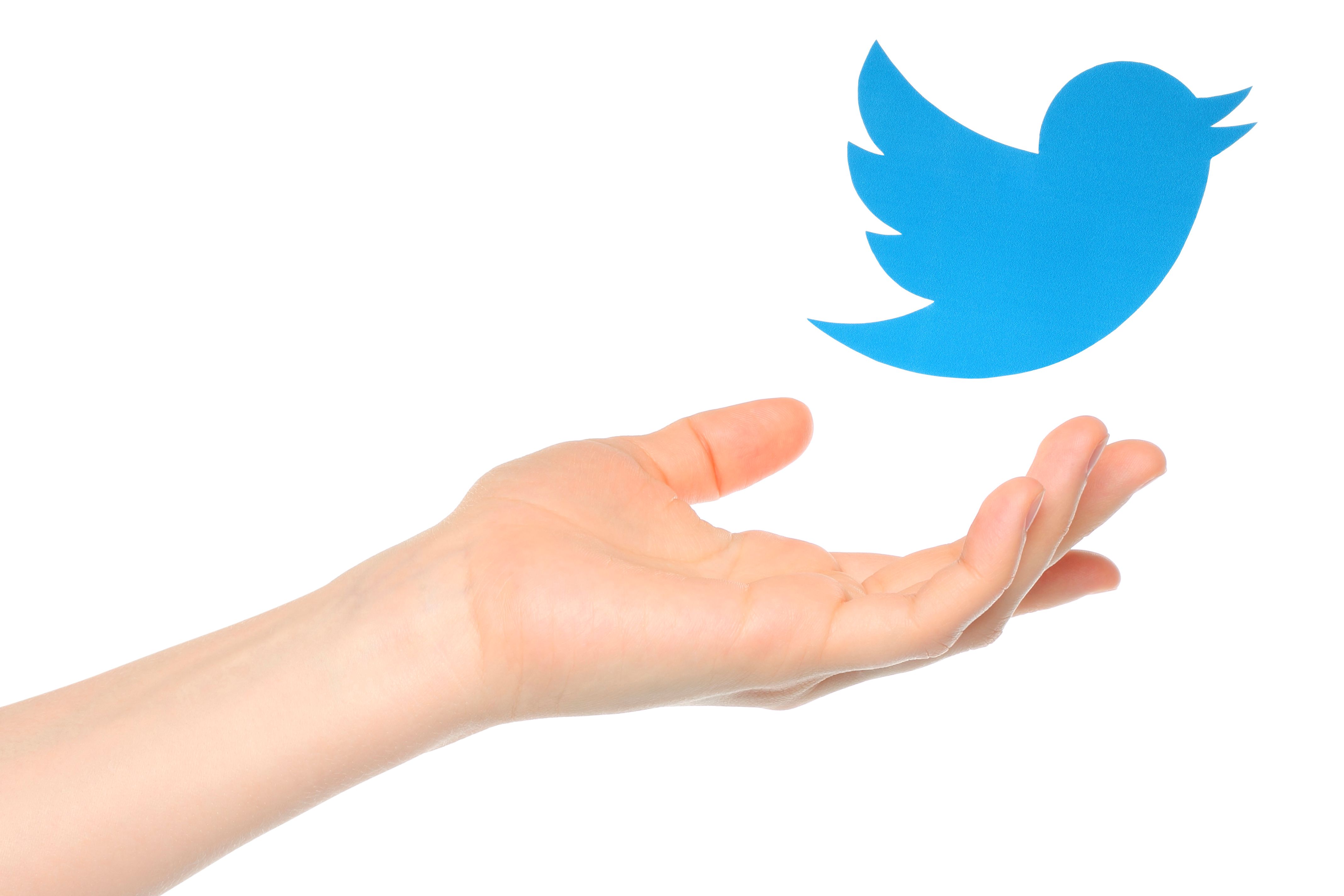 Image - Twitter – ein Nachruf auf eine Social-Media-Plattform