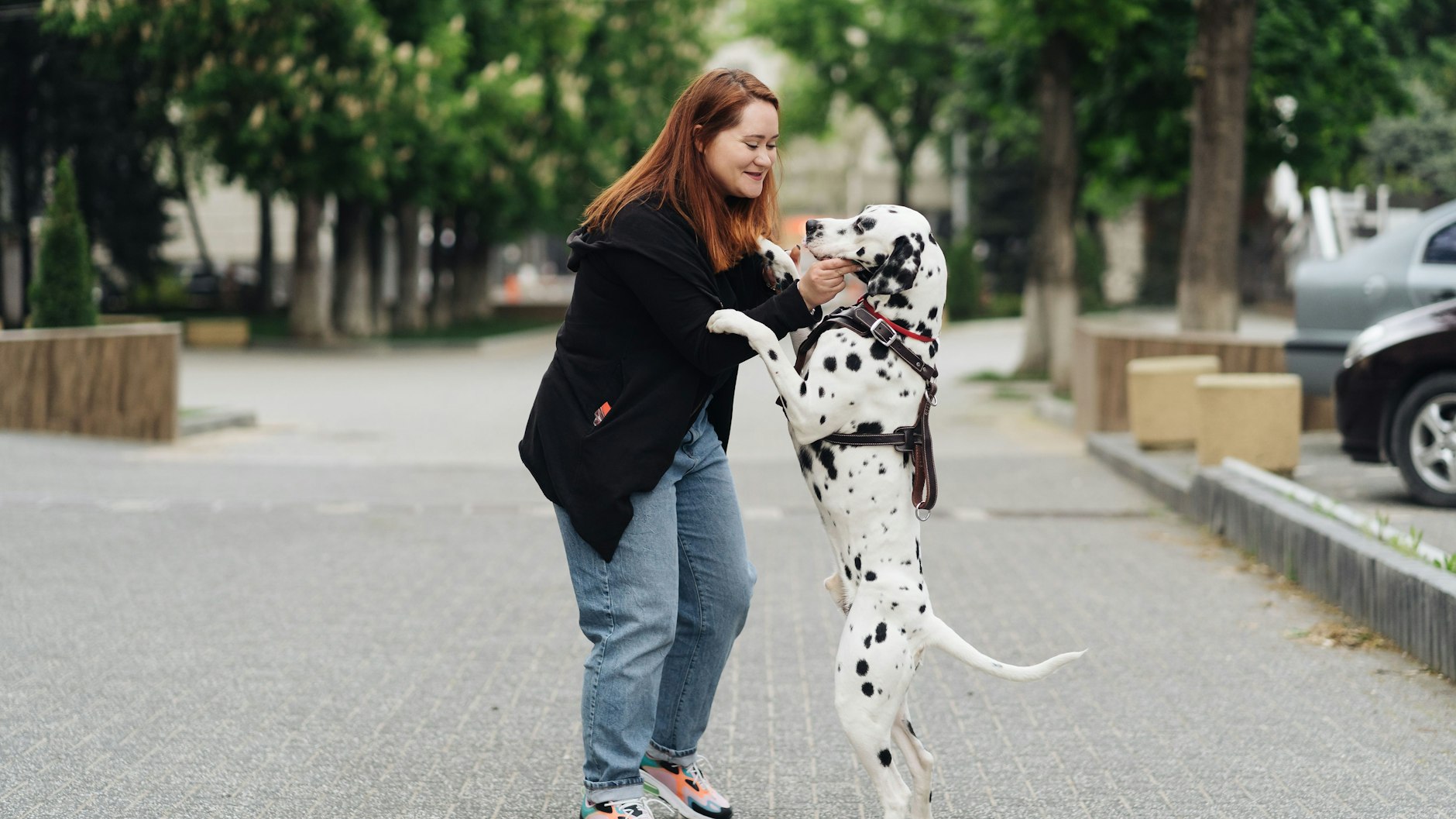 Wer seinem Hund beim Gassigehen die volle Aufmerksamkeit schenkt, der hat eine engere Beziehung zu ihm.