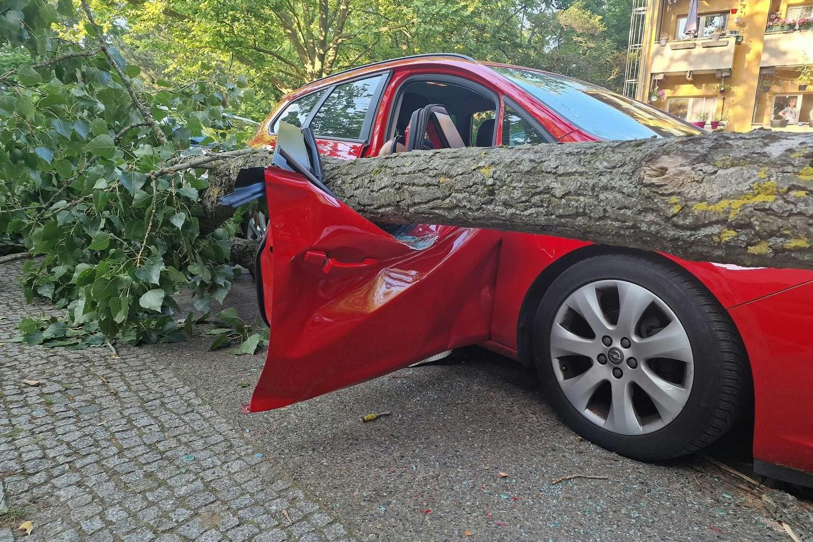 Ohne Vorwarnung krachte ein meterlanger Ast auf dieses geparkte Auto im Neuköllner Ortsteil Britz. Der Autofahrer wurde dabei eingeklemmt.
