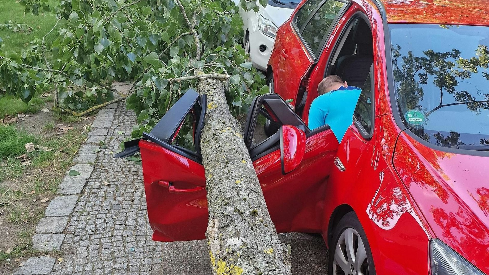 Der Mann wurde von dem herabgestürzten Ast zwischen Auto und Gehweg eingeklemmt.