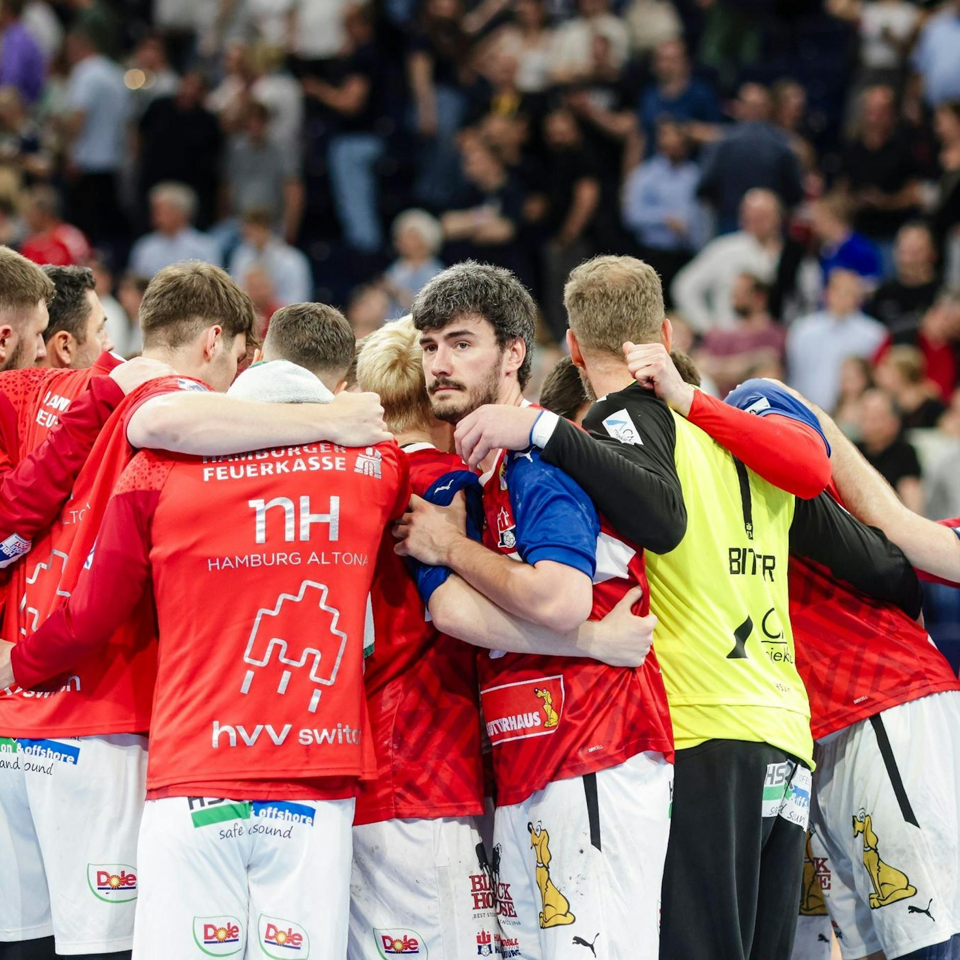 Image - Hamburgs Handballer erhalten endgültig die Bundesliga-Lizenz