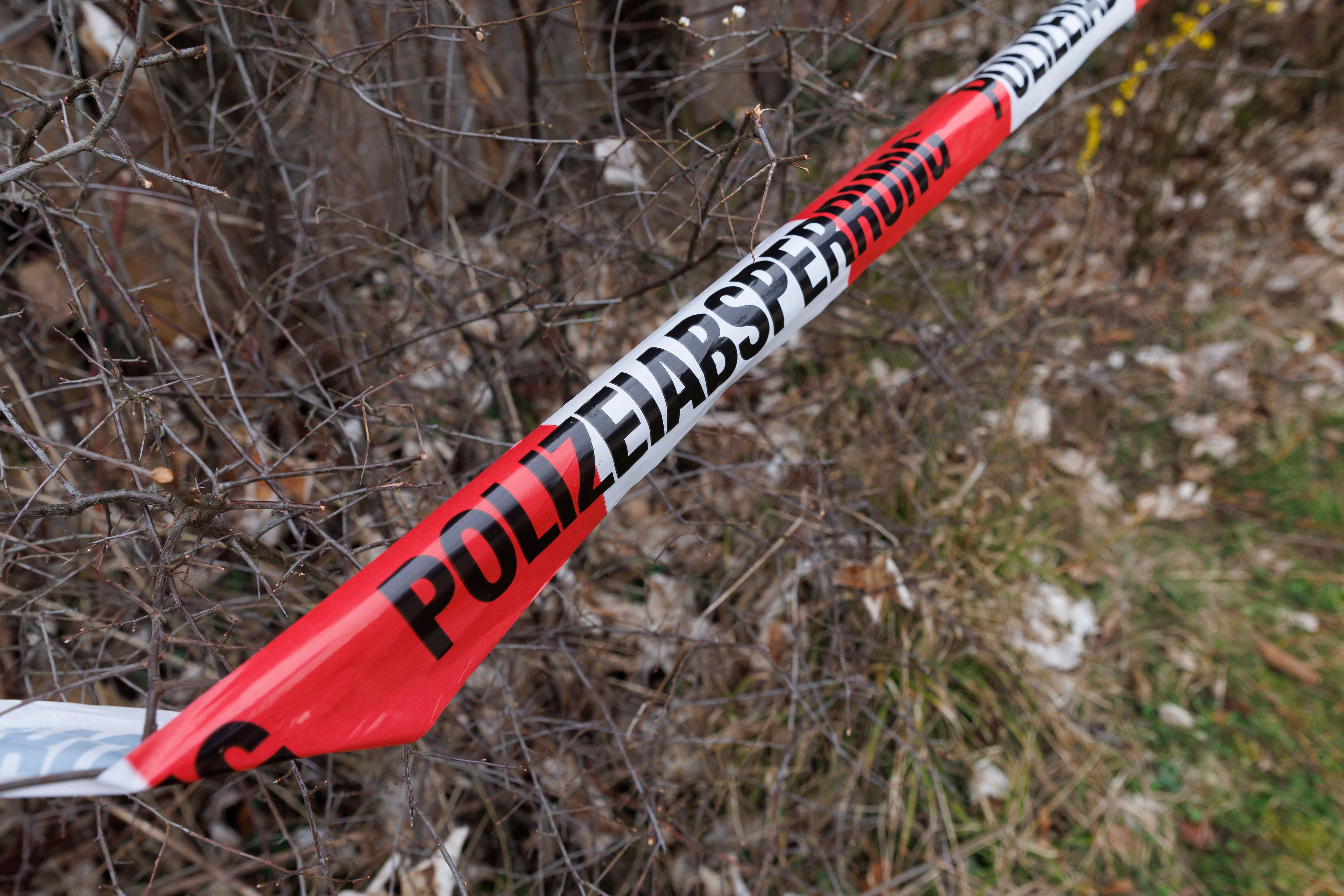 Mordkommission ermittelt: Frau in Wald bei Niebüll getötet