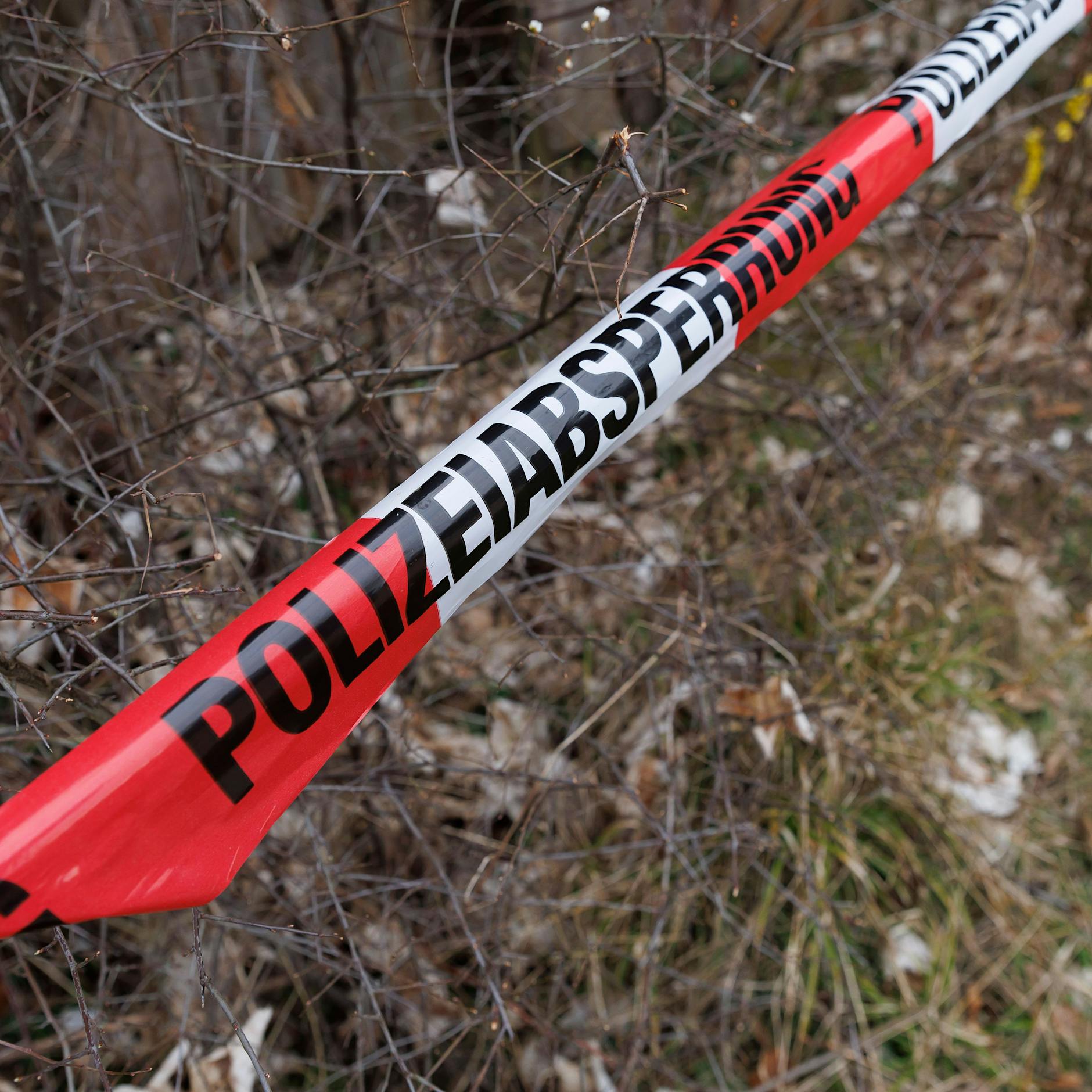 Mordkommission ermittelt: Frau in Wald bei Niebüll getötet