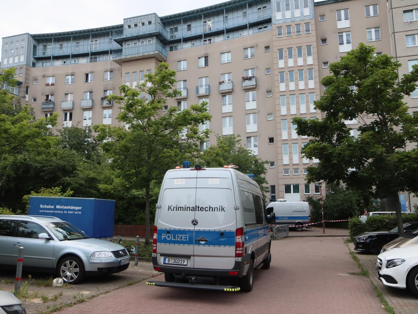 Berlin: Kind in Katzenkorb aus Fenster geworfen – Mutter unter Verdacht