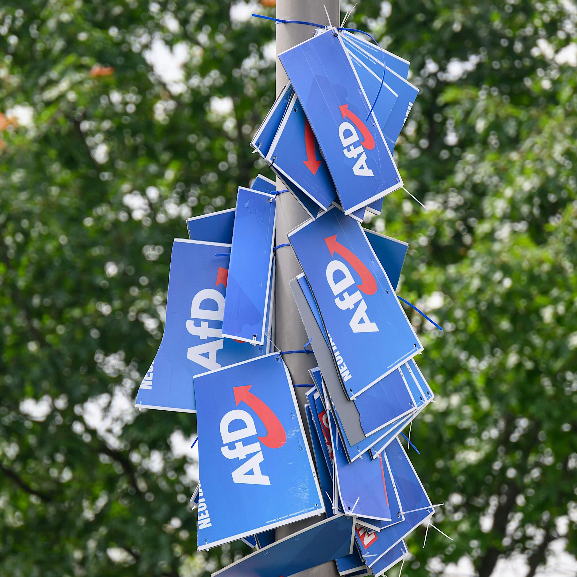 Kommunalwahlen in Ostdeutschland: AfD in Sachsen in allen Landkreisen auf Platz eins – Newsblog