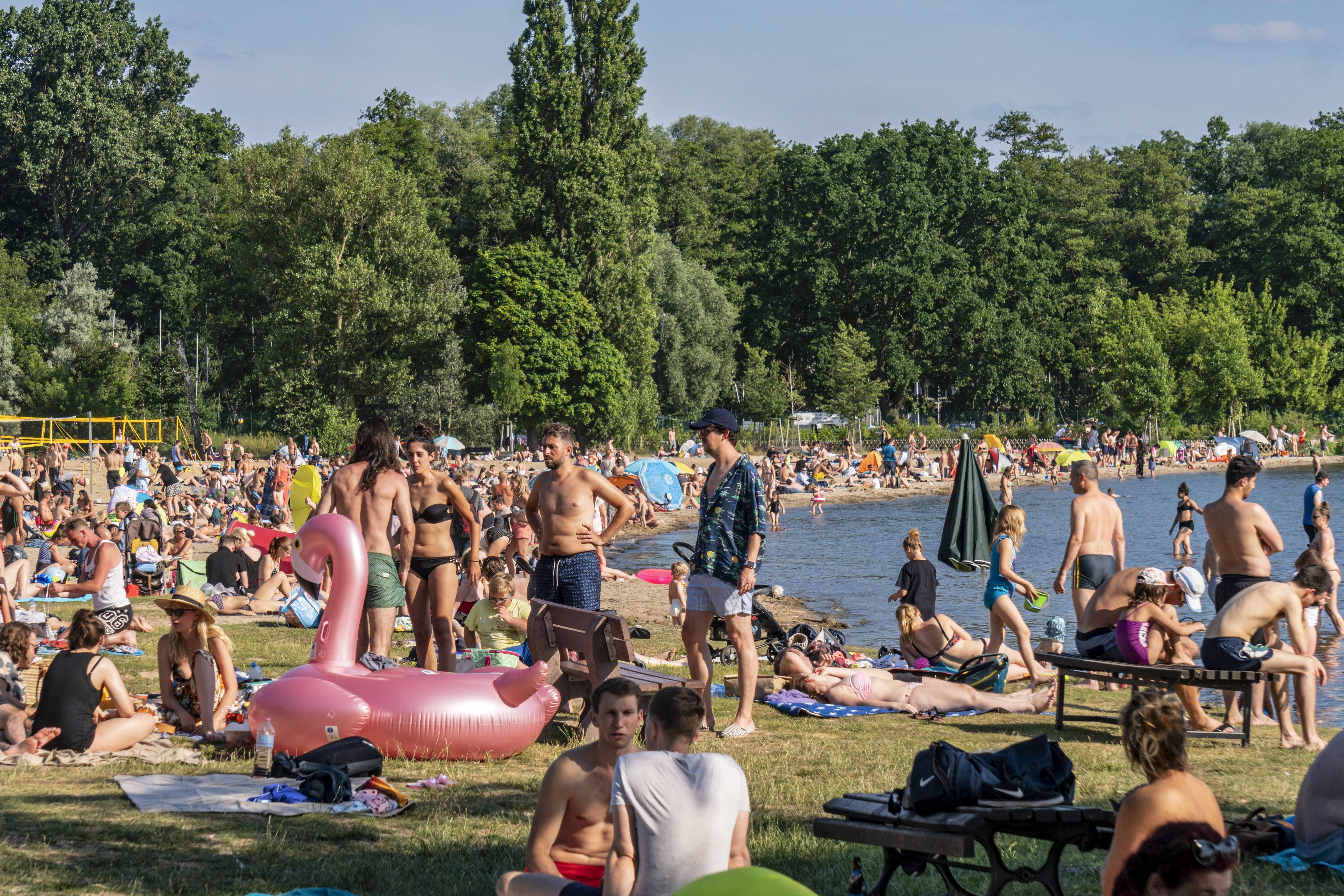 Horror in Köpenick: Strandbad Müggelsee von Gift-Raupen befallen – Schließung!