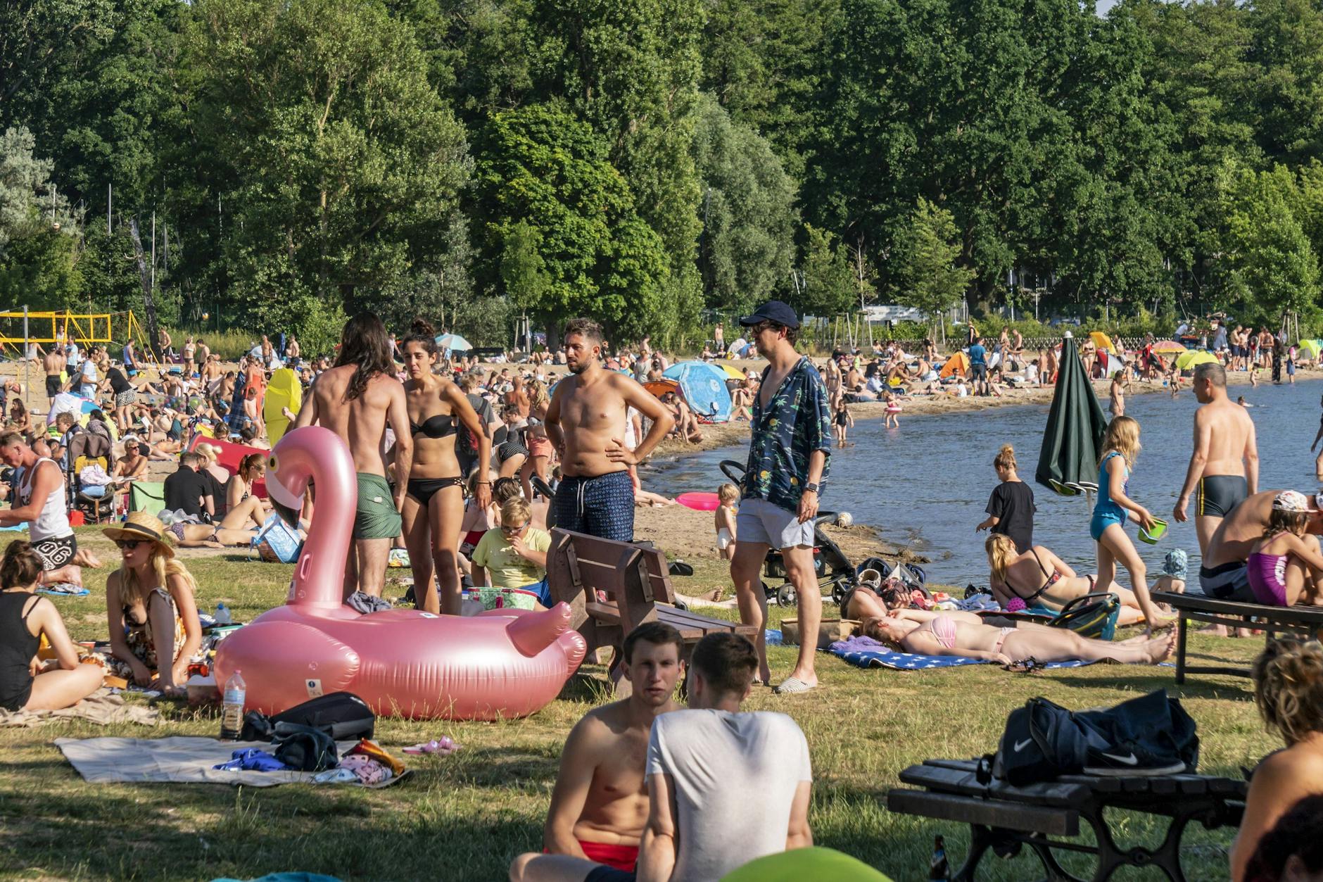 Das Strandbad Müggelsee wird im Sommer von unzähligen Menschen zum Baden genutzt – doch in den Eichen auf dem Gelände lauert aktuell der gefährliche Eichenprozessionsspinner.