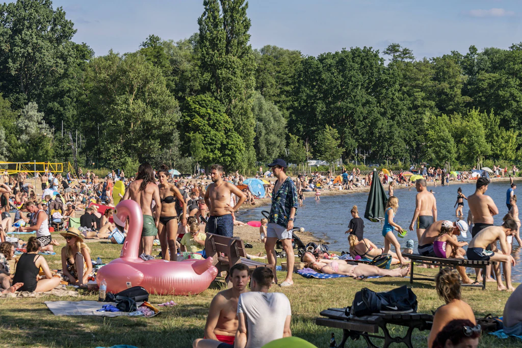 Horror in Köpenick: Strandbad Müggelsee von Gift-Raupen befallen – Schließung!