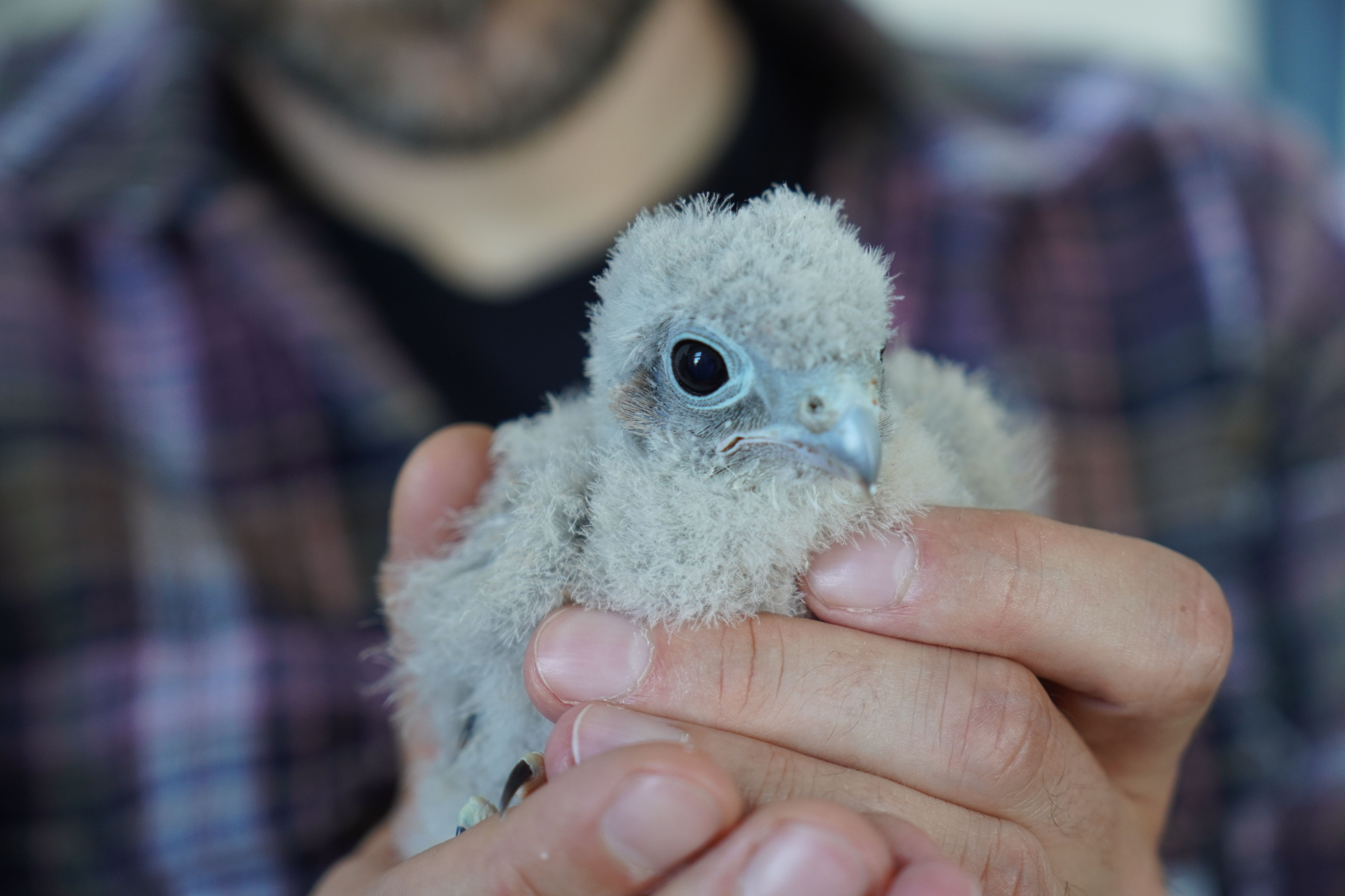 Das ist die flauschigste Wohngemeinschaft Berlins