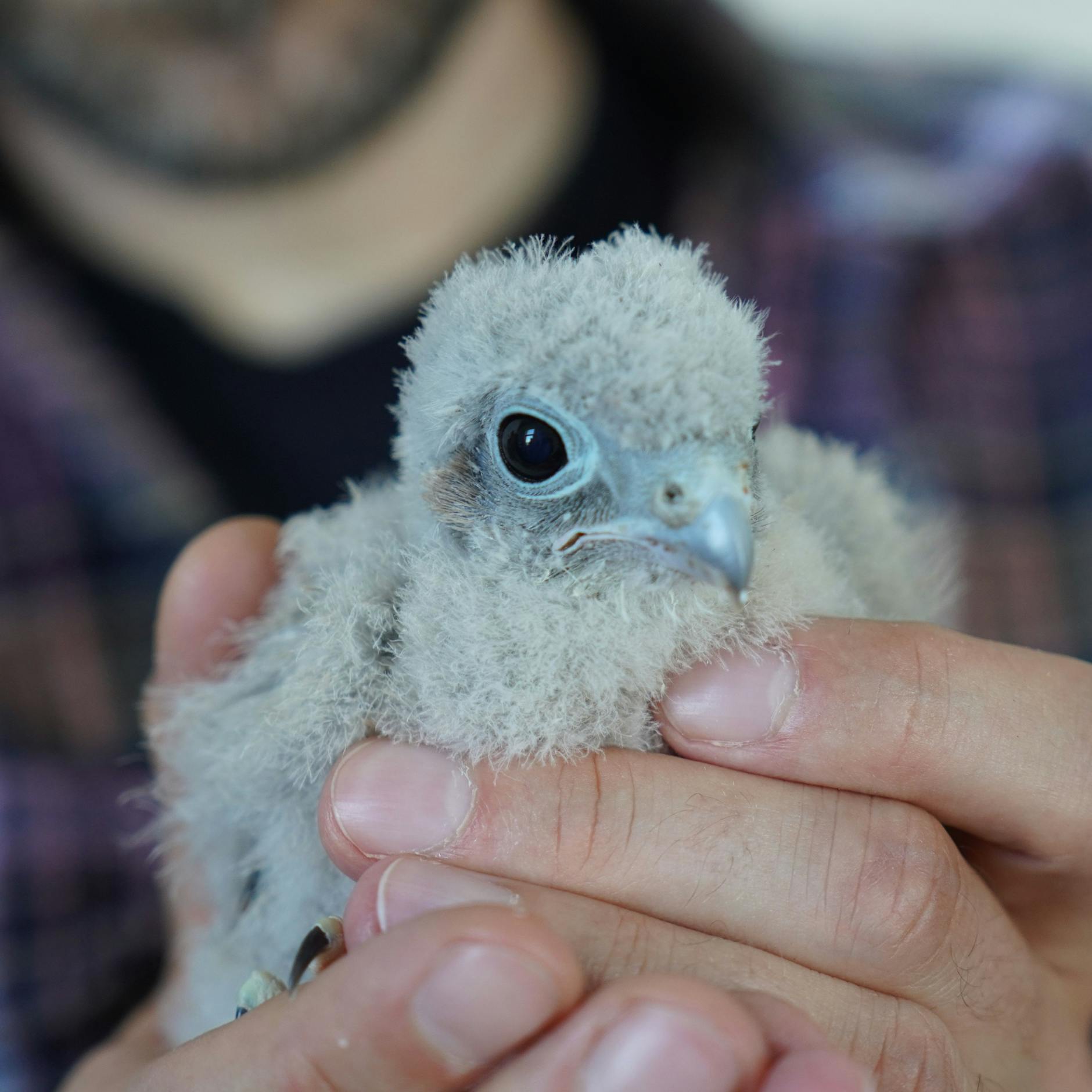Das ist die flauschigste Wohngemeinschaft Berlins