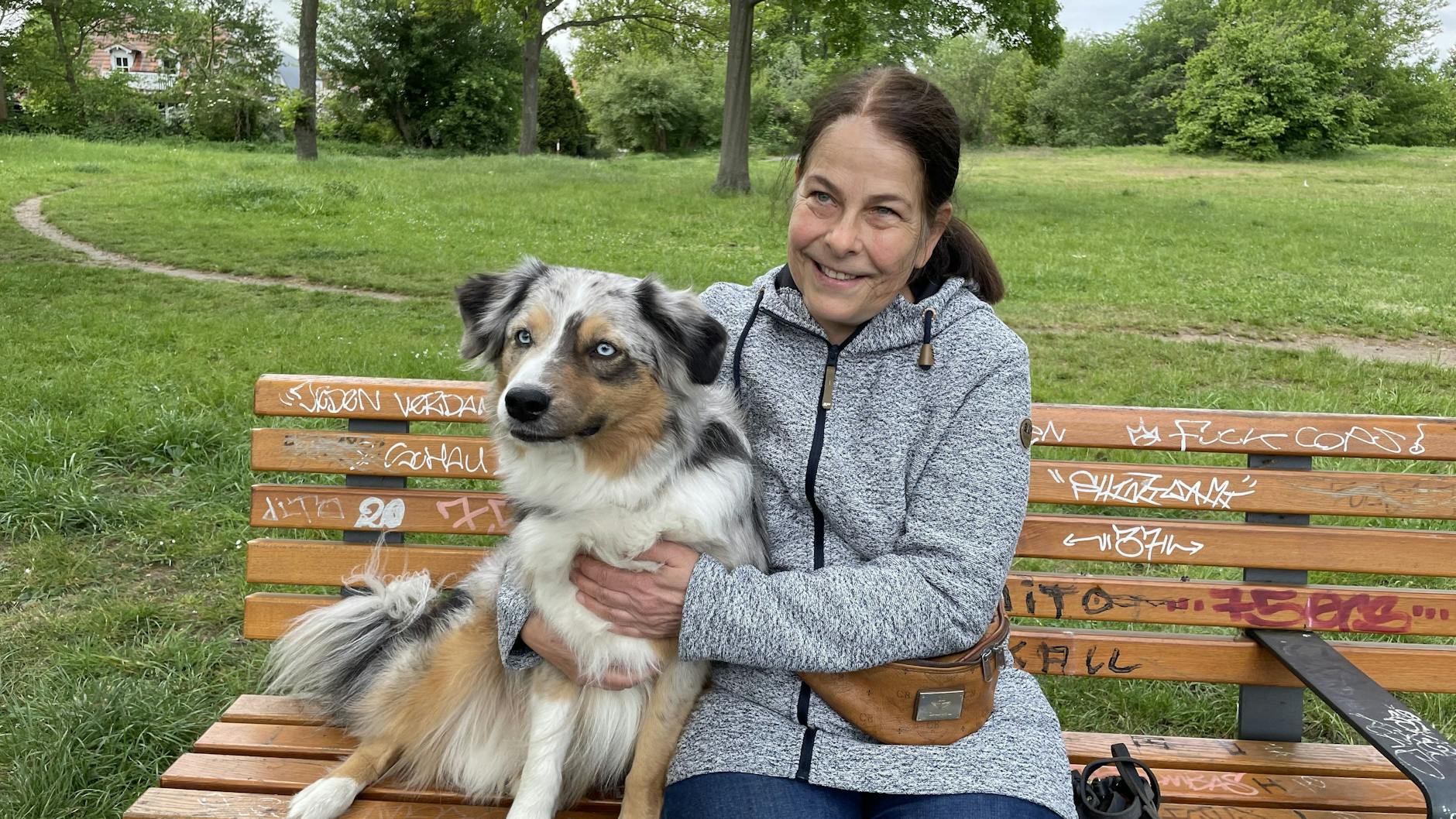 Miniature American Shepherd Lenni ist der Hundeskanzler und Besitzerin Kerstin freut sich sehr!
