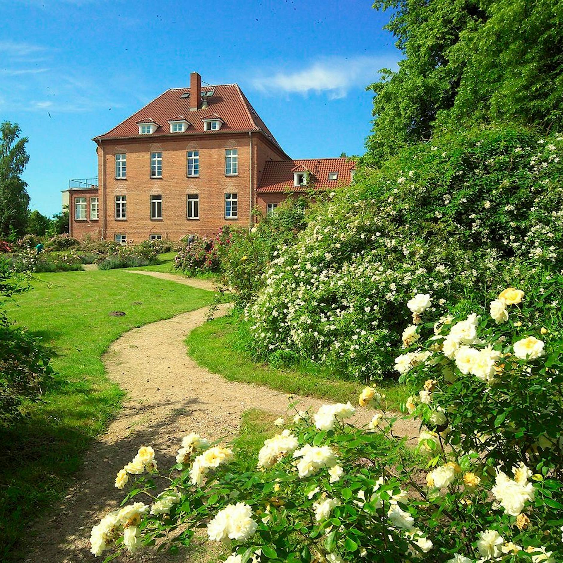 Shavasana im Schloss: Yoga in einer ehemaligen FDJ-Pionierleiterschule