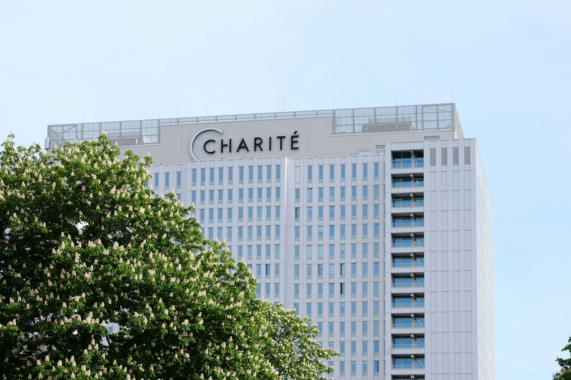 Auf dem Campus der Charité in Berlin-Mitte finden in der Langen Nacht der Wissenschaft mehrere Veranstaltungen statt.