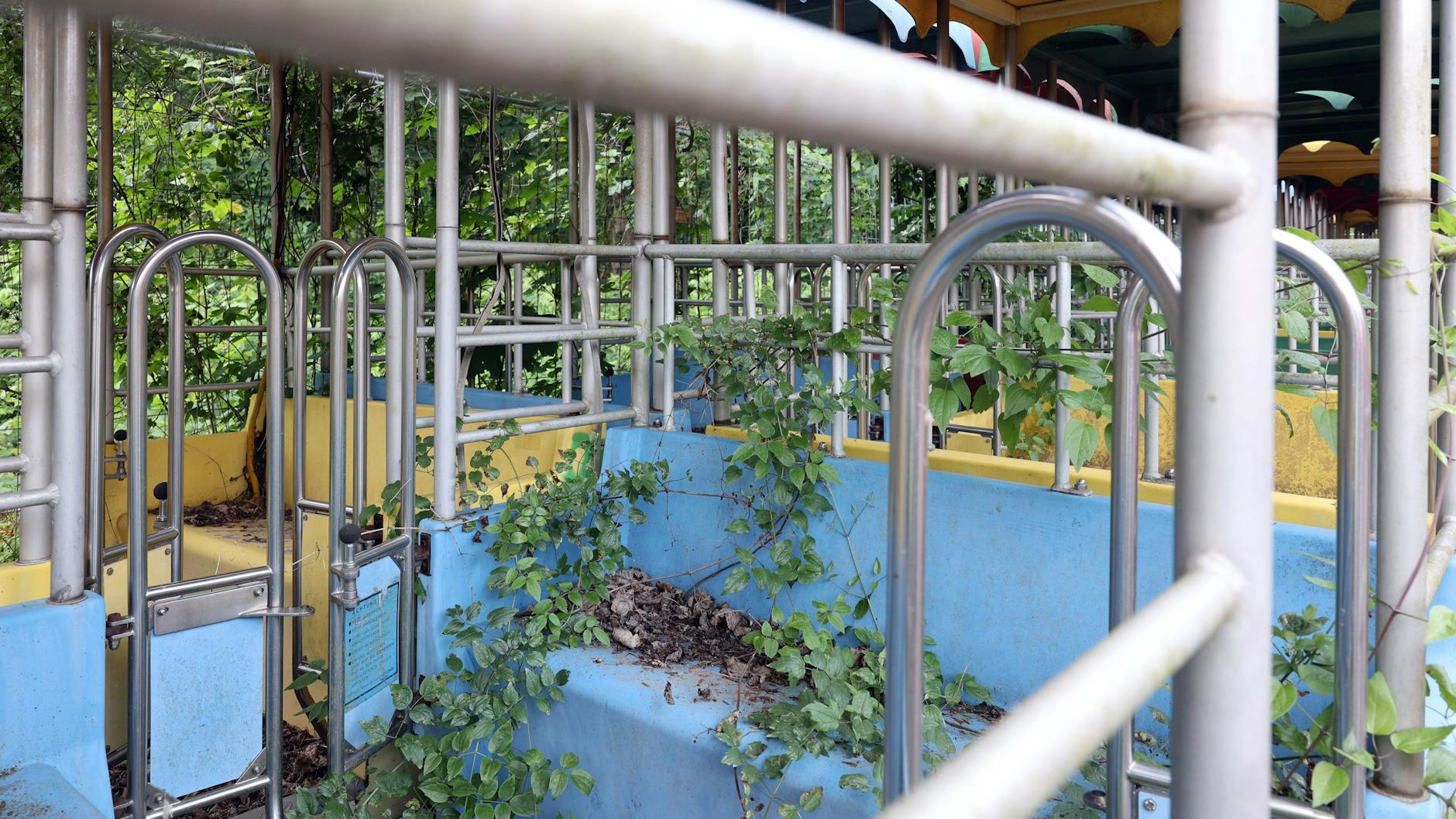 Das Riesenrad aus dem Spreepark wird abtransportiert, damit es saniert werden kann. Die Gondeln warten noch.