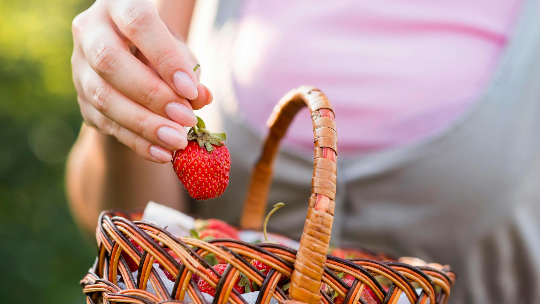 Selbstgepflückt schmecken Erdbeeren doch am besten.