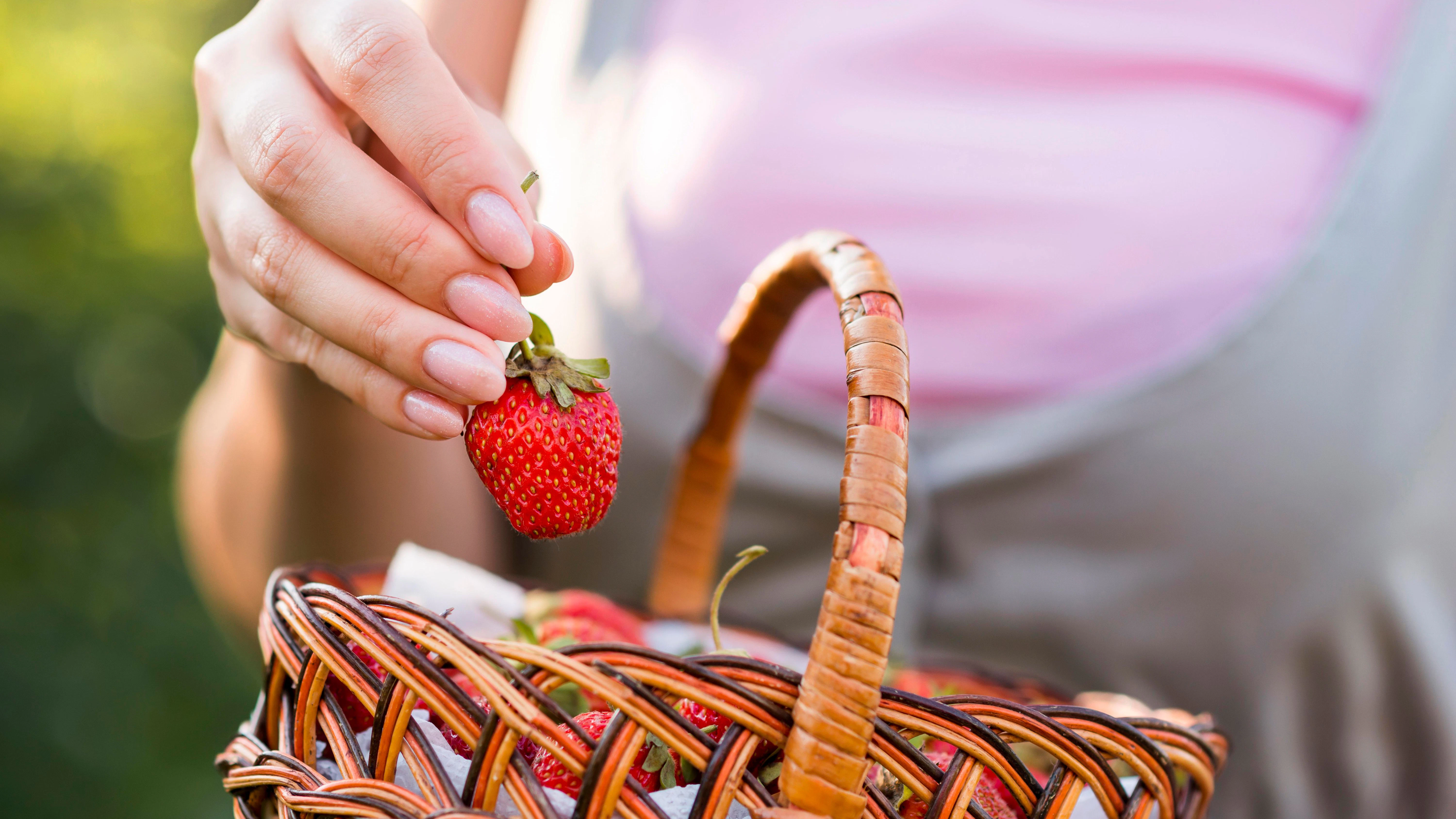 Selbstgepflückt schmecken Erdbeeren doch am besten.