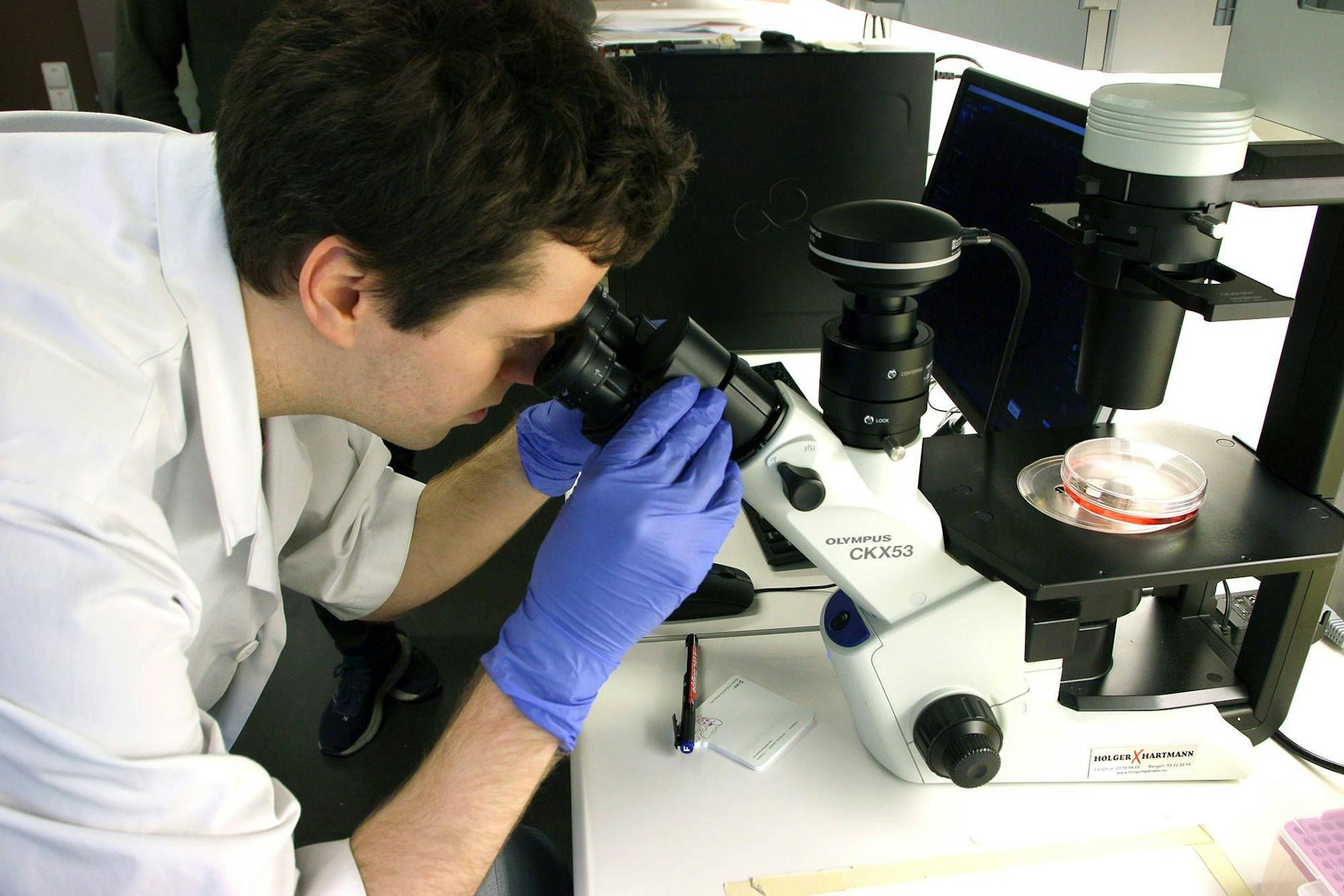 Wissenschaftler der Universität Maastricht wollen die Erkrankungen nach ihren genetischen Ursachen neu sortieren (Symbolbild)