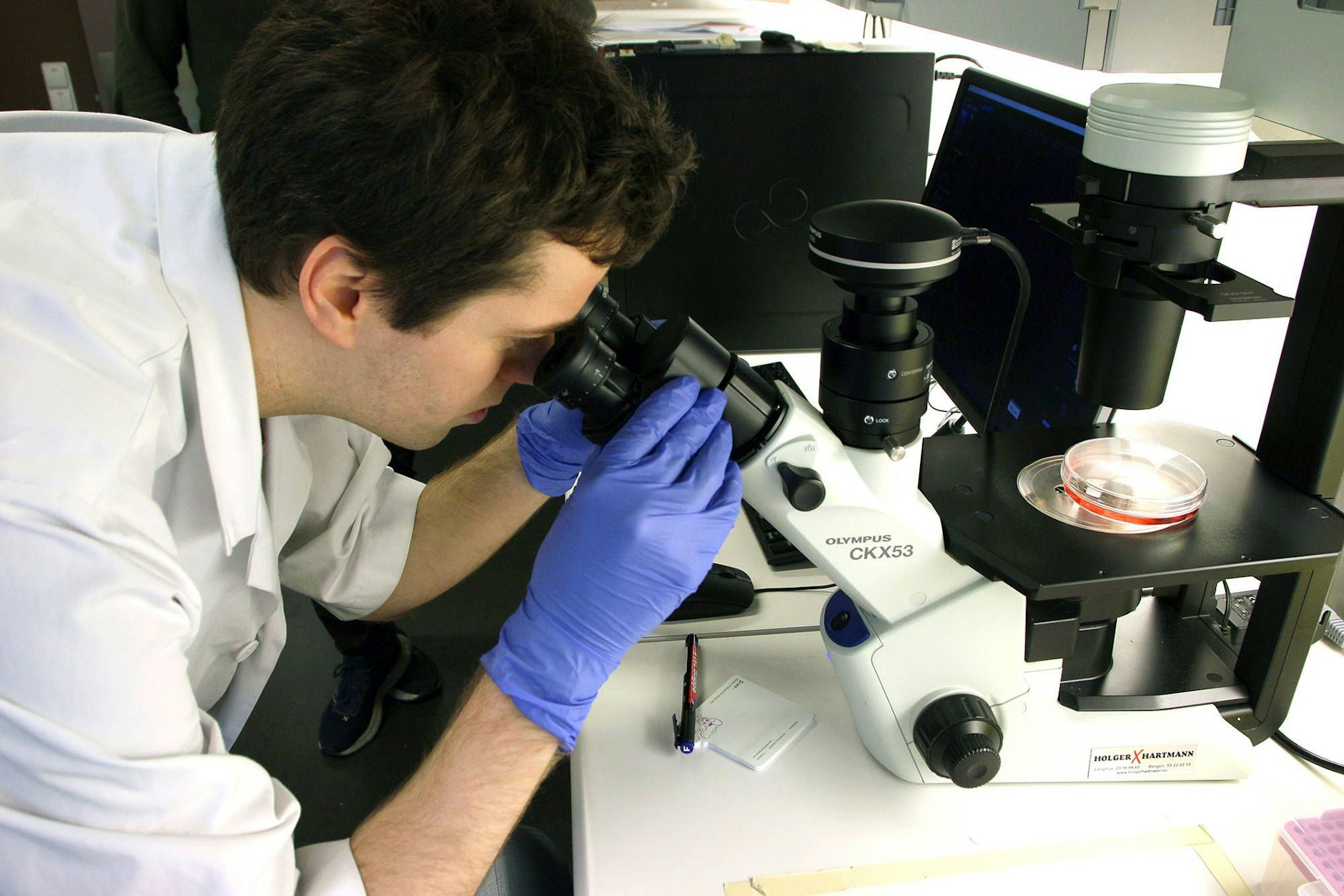 Wissenschaftler der Universität Maastricht wollen die Erkrankungen nach ihren genetischen Ursachen neu sortieren (Symbolbild)