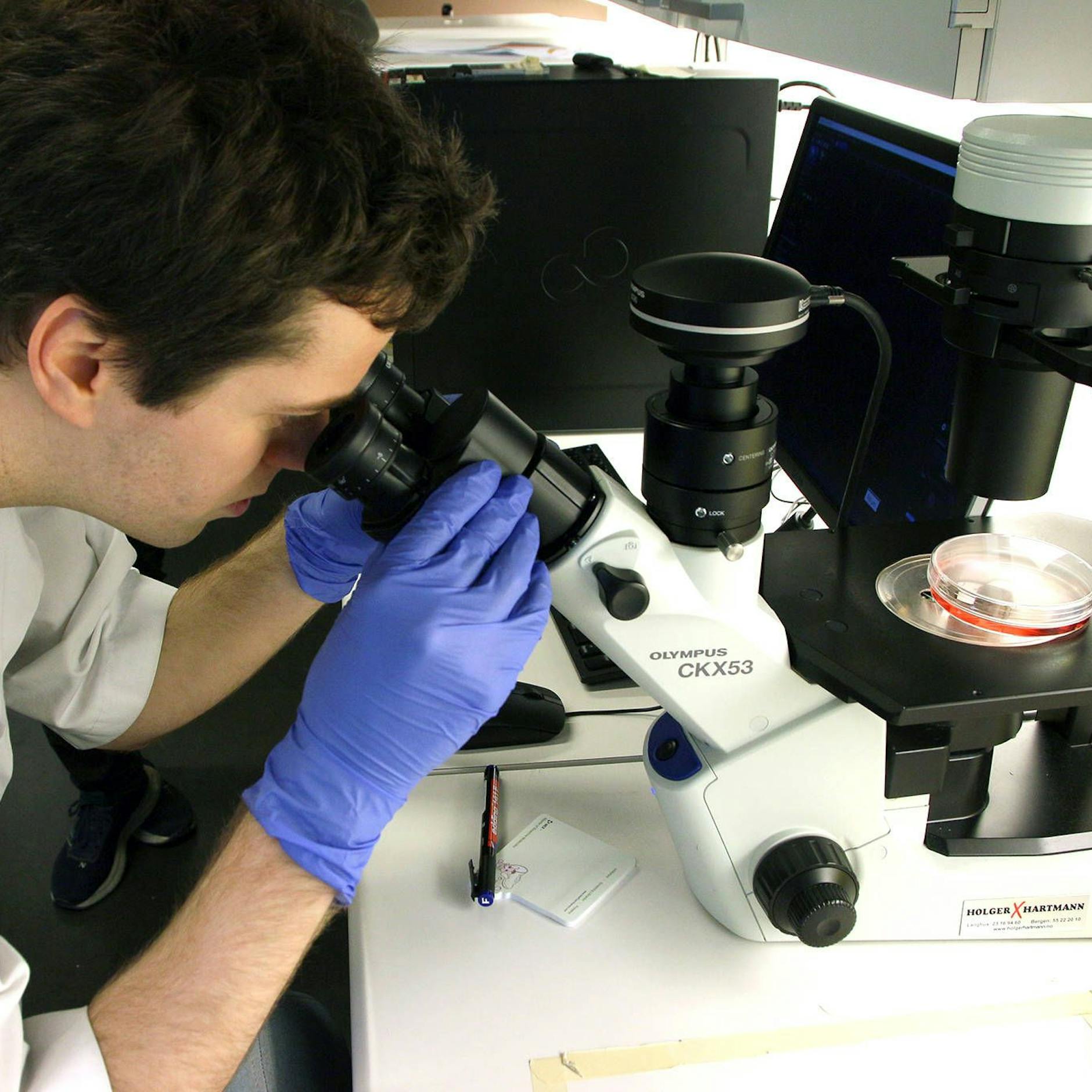 Image - Revolution in der Medizin: Werden Parkinson und Alzheimer heilbar?