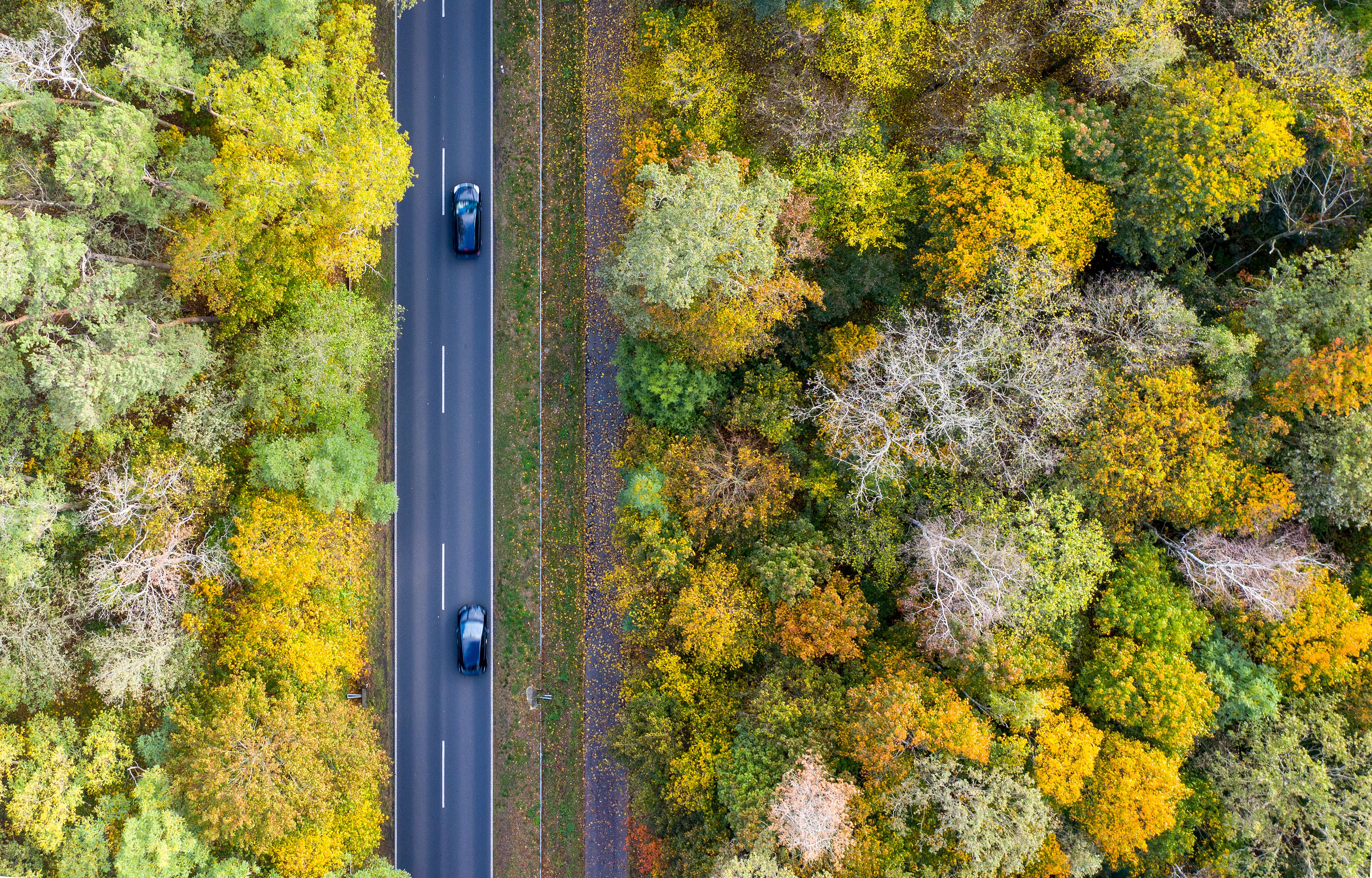 Radwege-Drama in Brandenburg: Neu ist nicht, nur besser