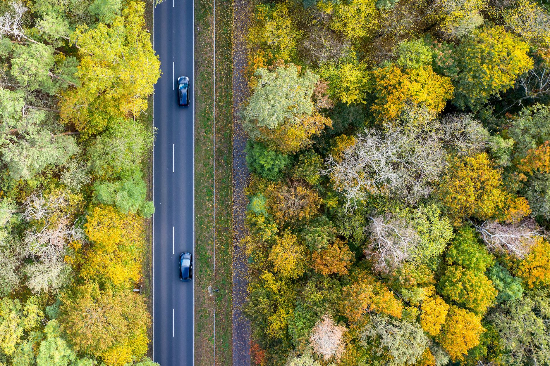 Längst nicht überall gibt es in Brandenburg Radwege parallel zur Landstraße. Und der Neubau stockt.