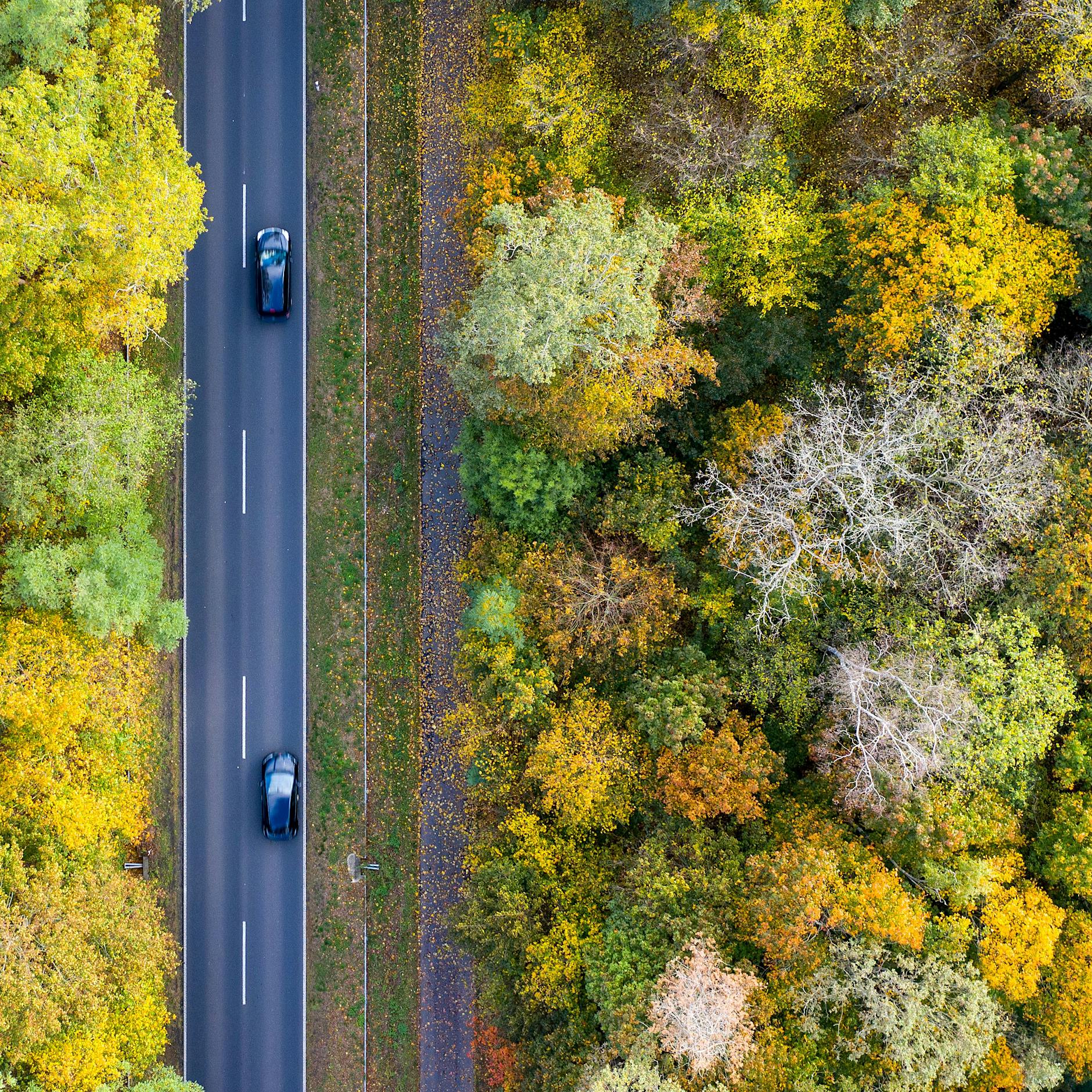 Radwege-Drama in Brandenburg: Neu ist nicht, nur besser