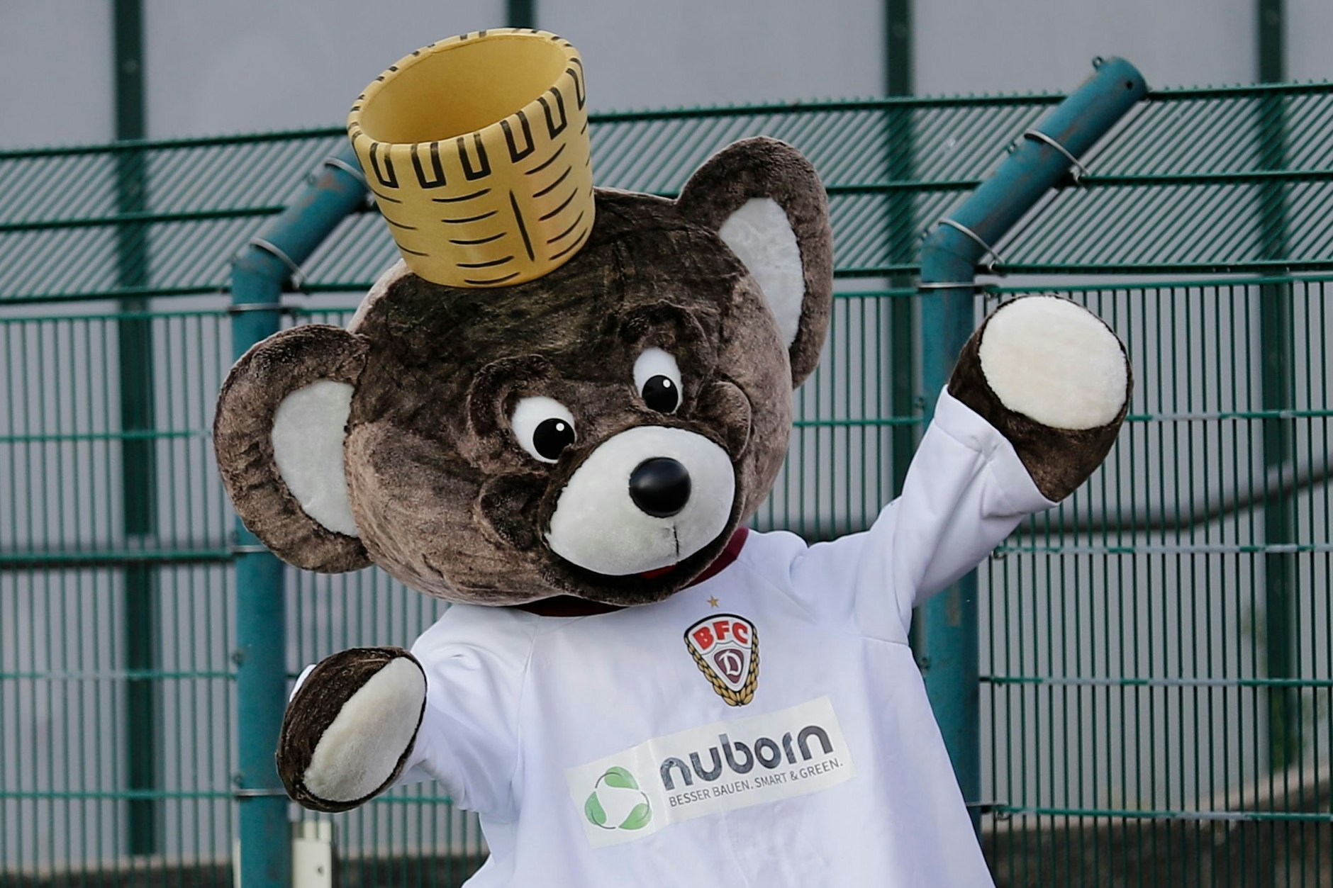Auch Teddy, das Maskottchen des BFC Dynamo, freut sich, dass seine Lieblinge zurück im Sportforum Hohenschönhausen sind. 