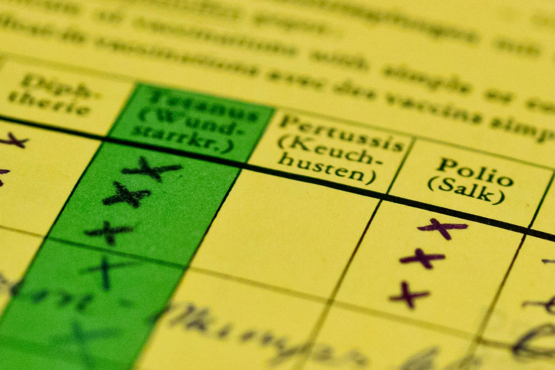 Ein Impfbuch mit markierten Feldern Diphterie, Tetanus (Wundstarrkrampf), Pertussis (Keuchhusten), Polio und Masern (v.l.n.r.) liegt auf einem Tisch.