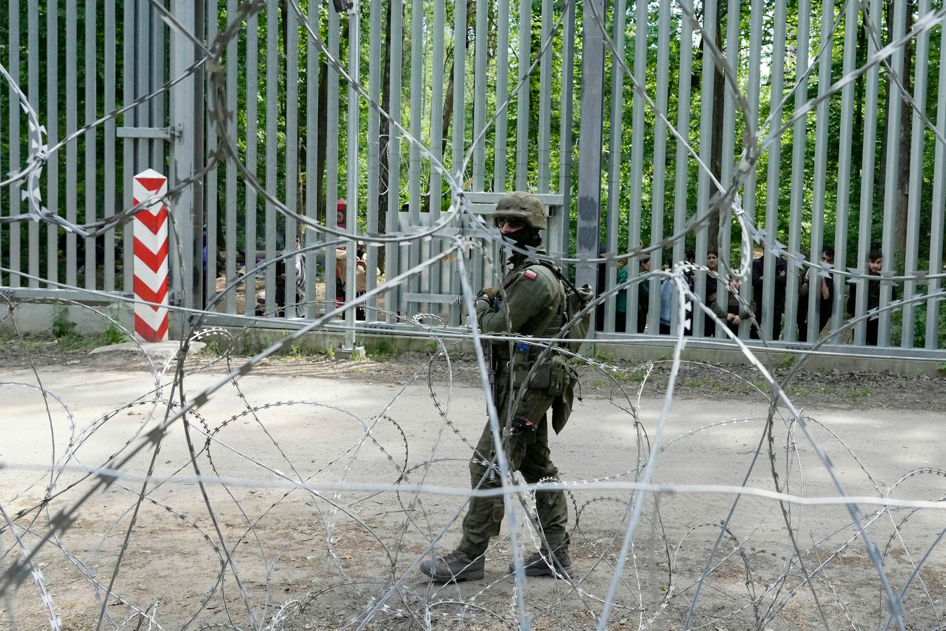 Migration nimmt über die sogenannte Belarus-Route wieder zu. Ein polnischer Grenzsoldat patrouilliert im Bialowieza-Wald an der Grenze zu Belarus.