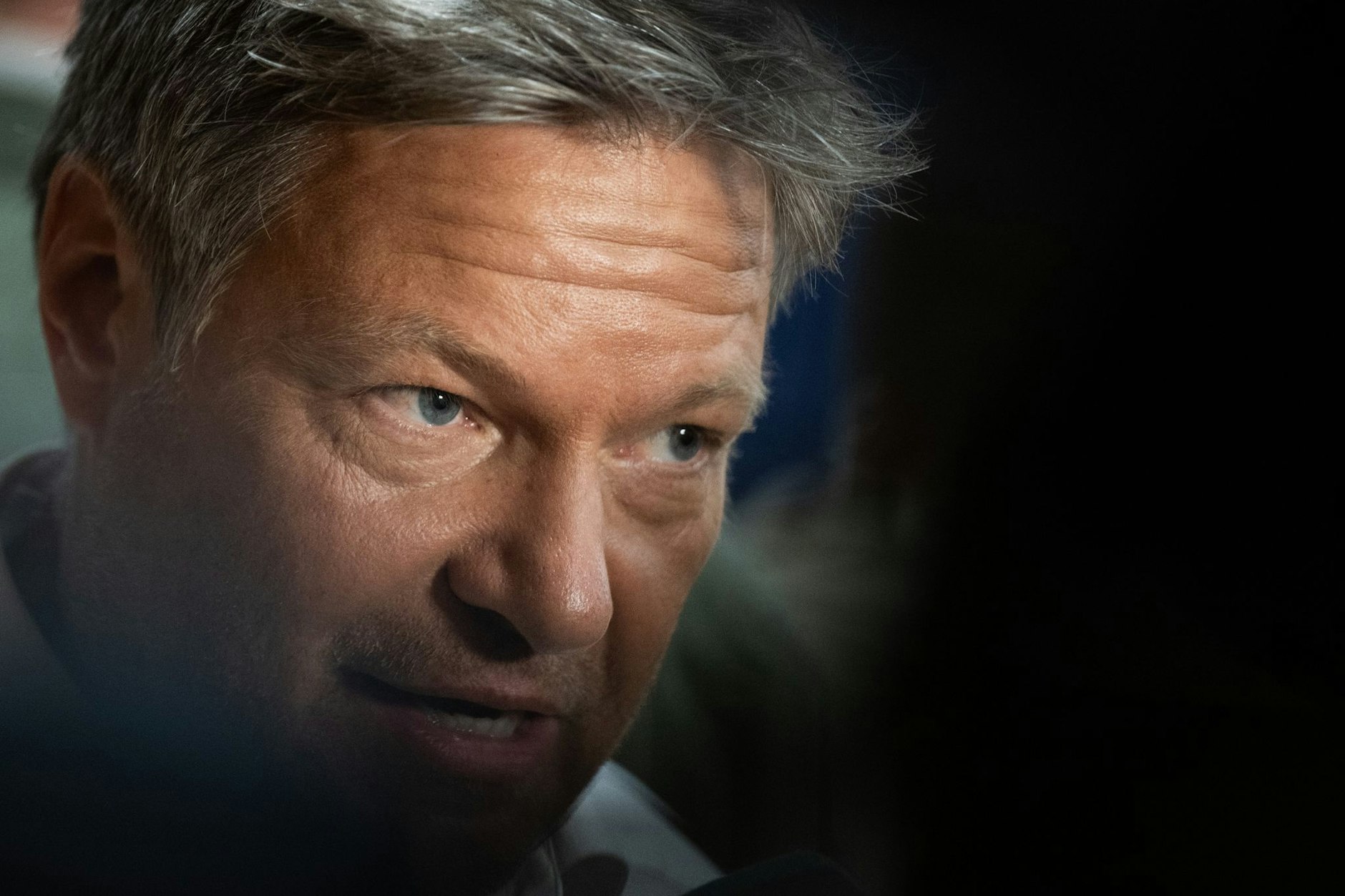 Robert Habecks Vorfahren haben eine Nazi-Vergangenheit.