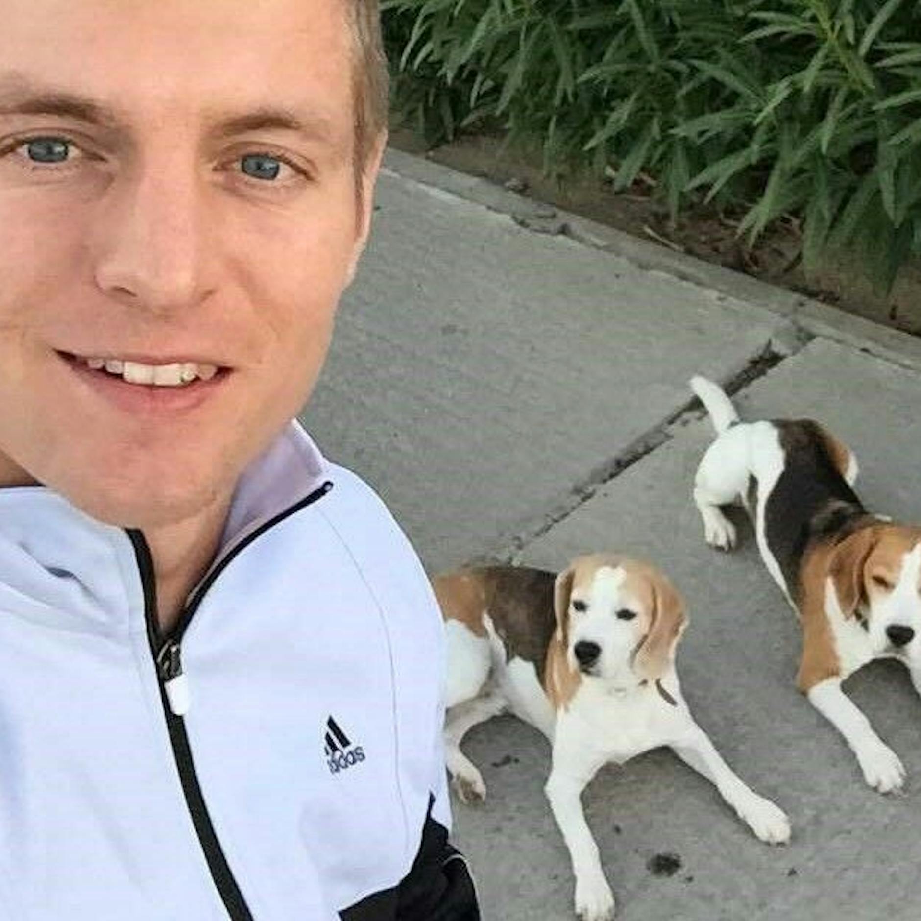 Wau! So süß sind die Hunde unserer Nationalelf!