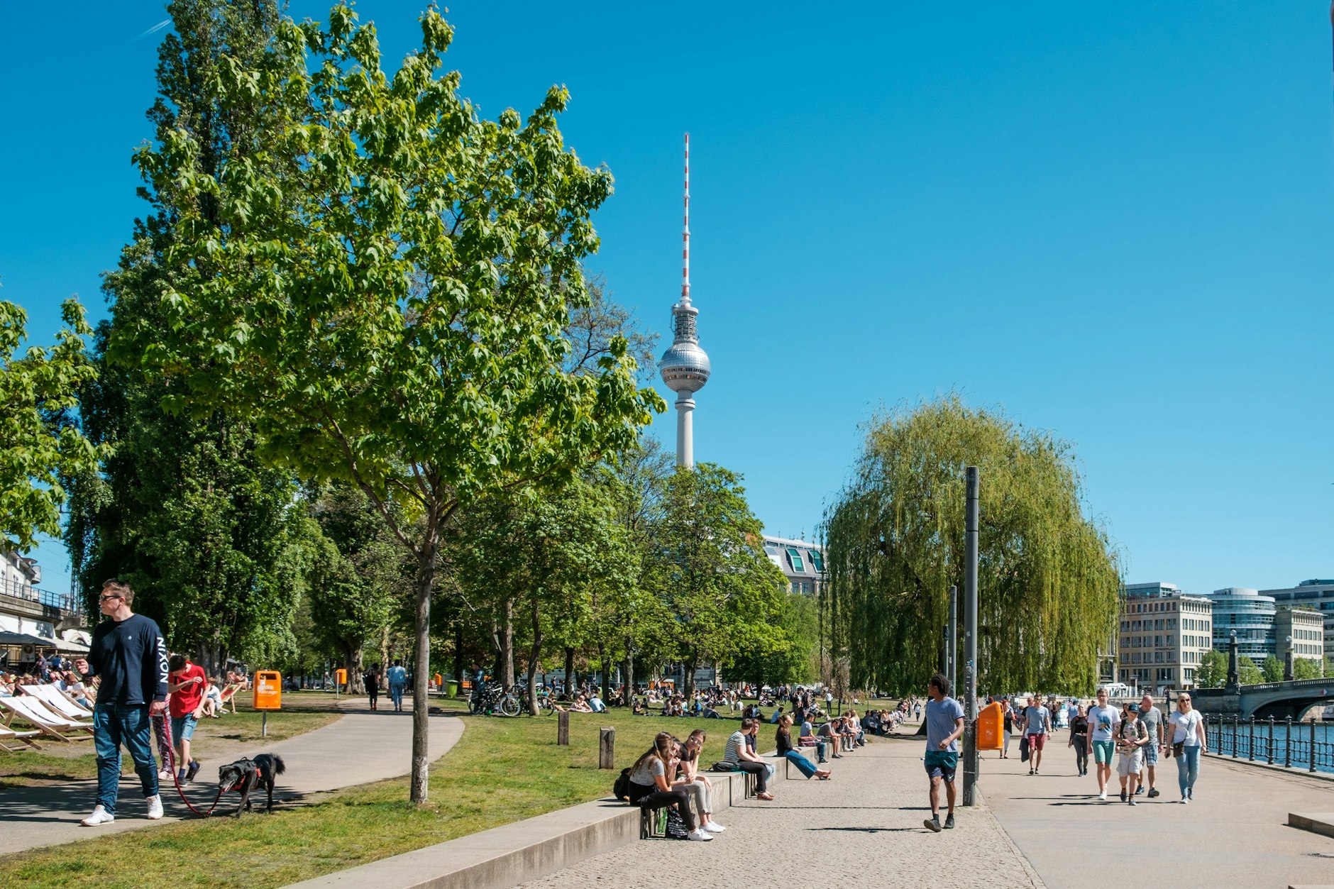 Menschen schlendern bei schönem Wetter durch den Monbijou-Park.