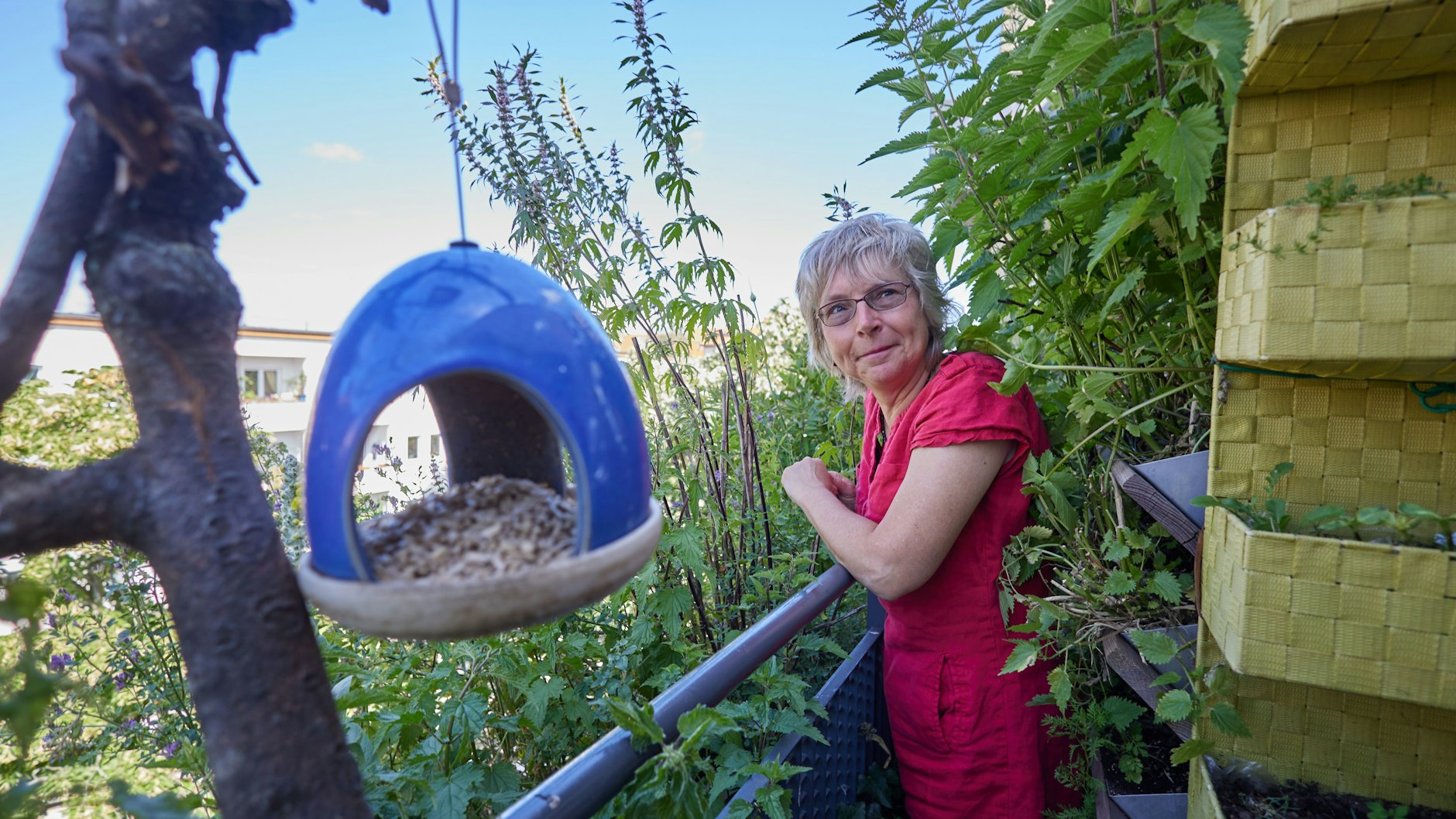 Auch Vögel finden auf Birgit Schattlings Balkon noch ihren Platz.