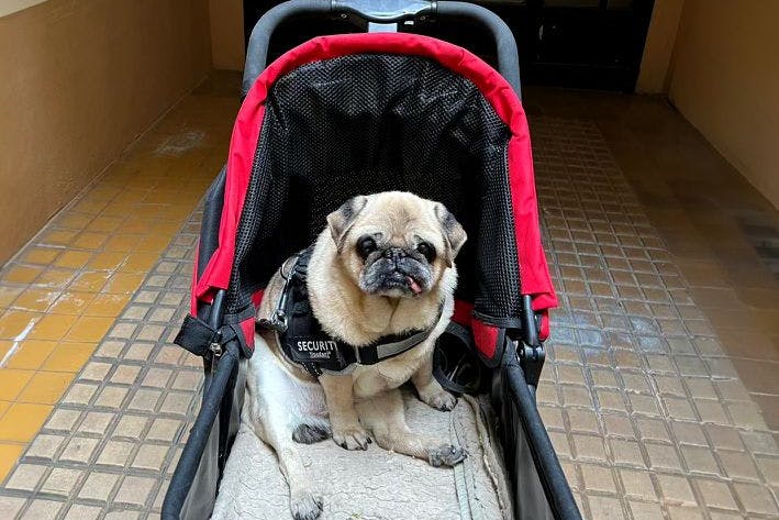 Emmy in Paris: Gleich geht es auf die Straße, ohne dass es anstrengend wird.