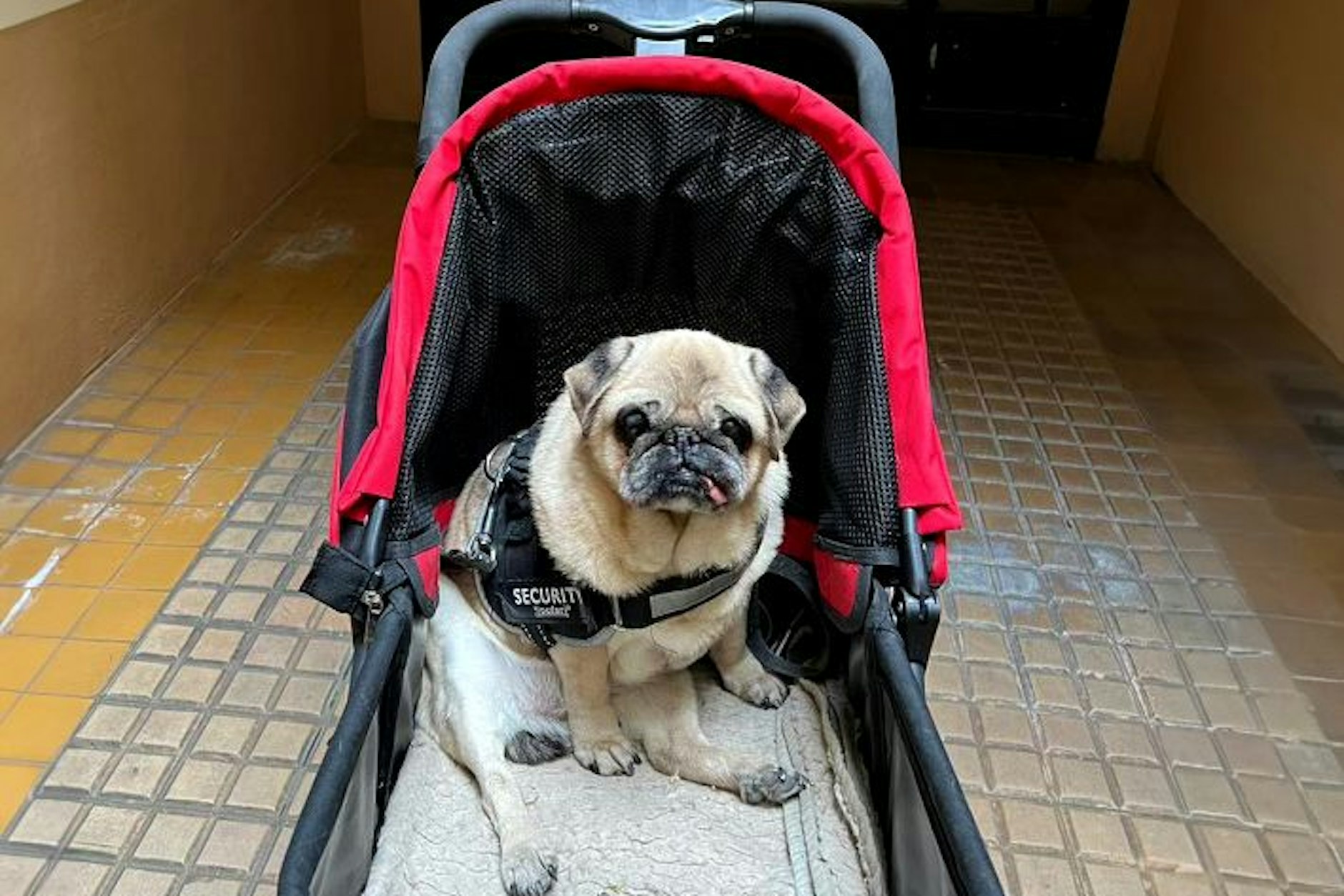 Emmy in Paris: Gleich geht es auf die Straße, ohne dass es anstrengend wird.