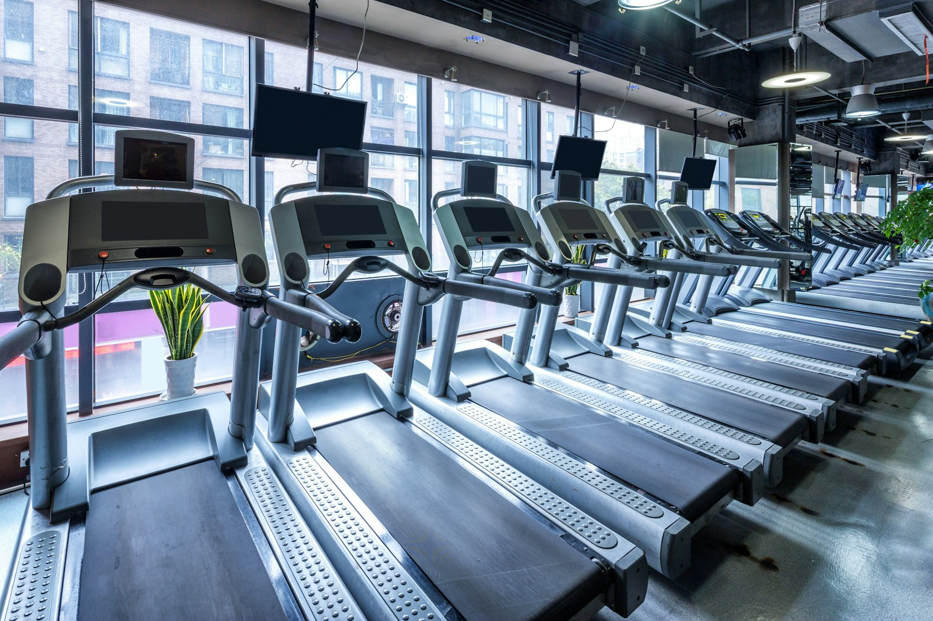 Geräte, Beratung, Probetraining: Ein Marktforschungsinstitut hat Berliner Fitnessstudios bewertet.&nbsp;