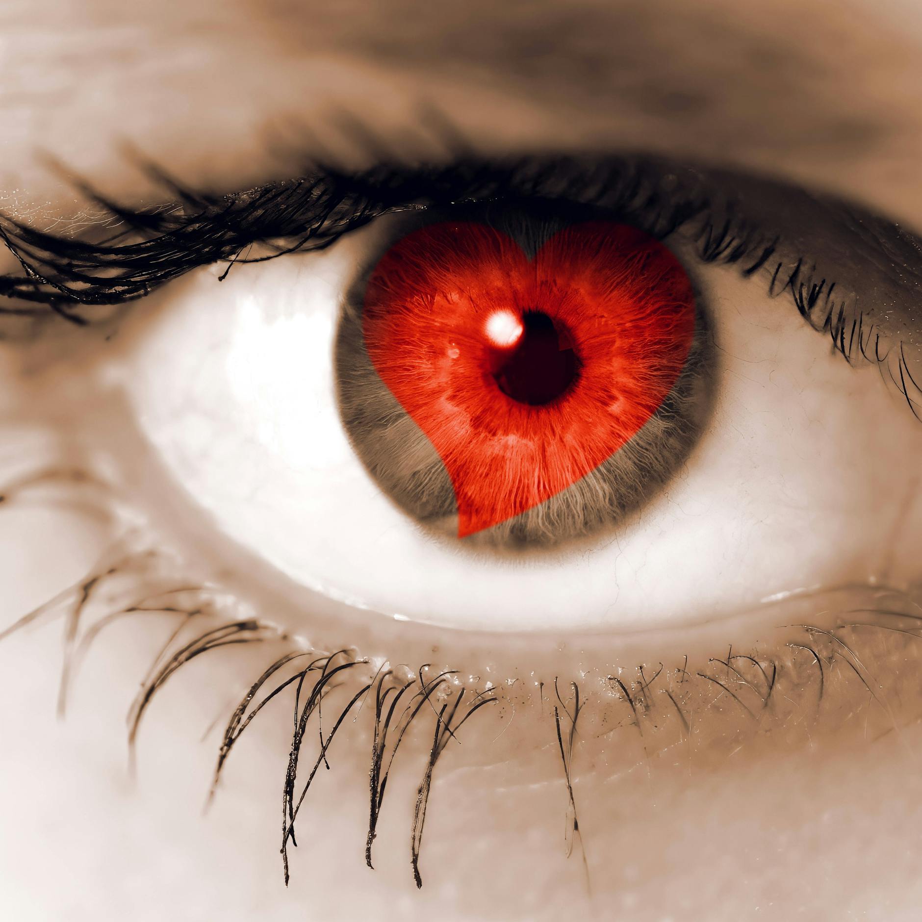 Charité-Psychiater sicher: Liebeskummer so krass wie ein Drogenentzug