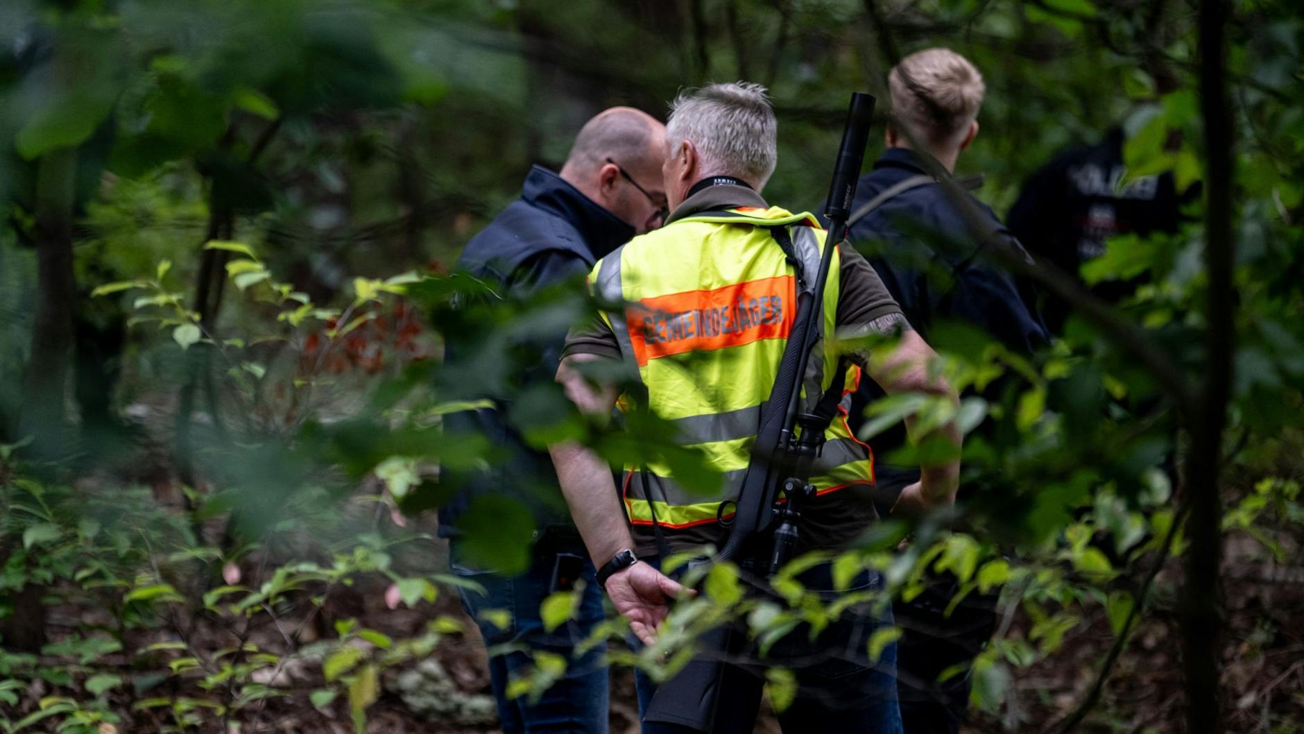 Löwenjagd zwischen Berlin und Brandenburg im Sommer 2023: Ein Gemeindejäger und Polizisten suchen im Wald nach weiteren Spuren im Wald.