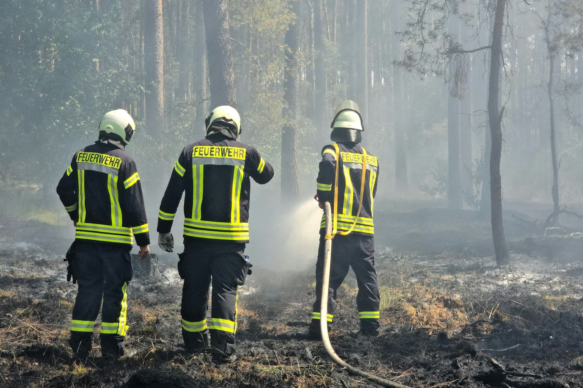 Bei Temperaturen von über 30 Grad löschen Feuerwehrleute den Waldbrand in der Gemeinde Milower Land (Landkreis Havelland).