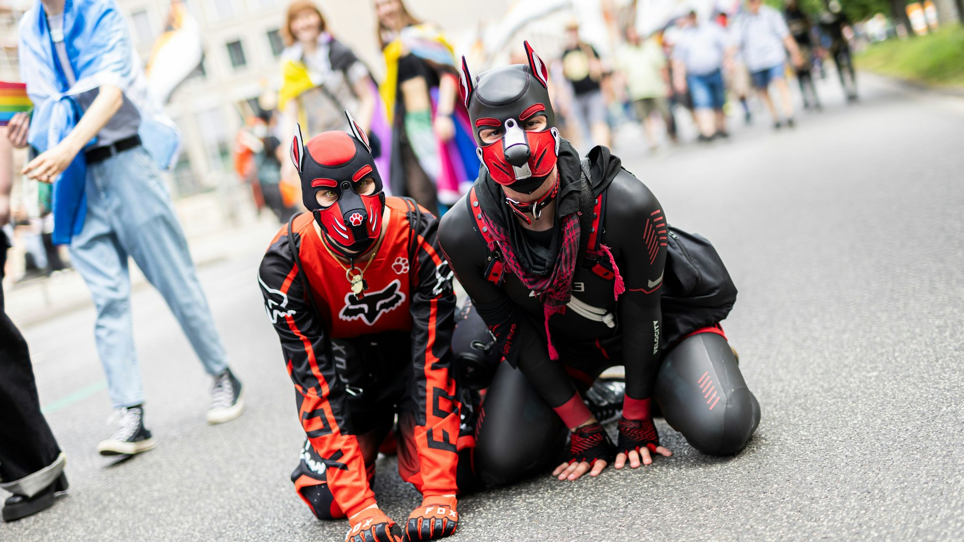 Puppies organisieren sich in Vereinen, auch in Berlin gibt es immer mehr Geschäfte, die das entsprechende Zubehör anbieten.