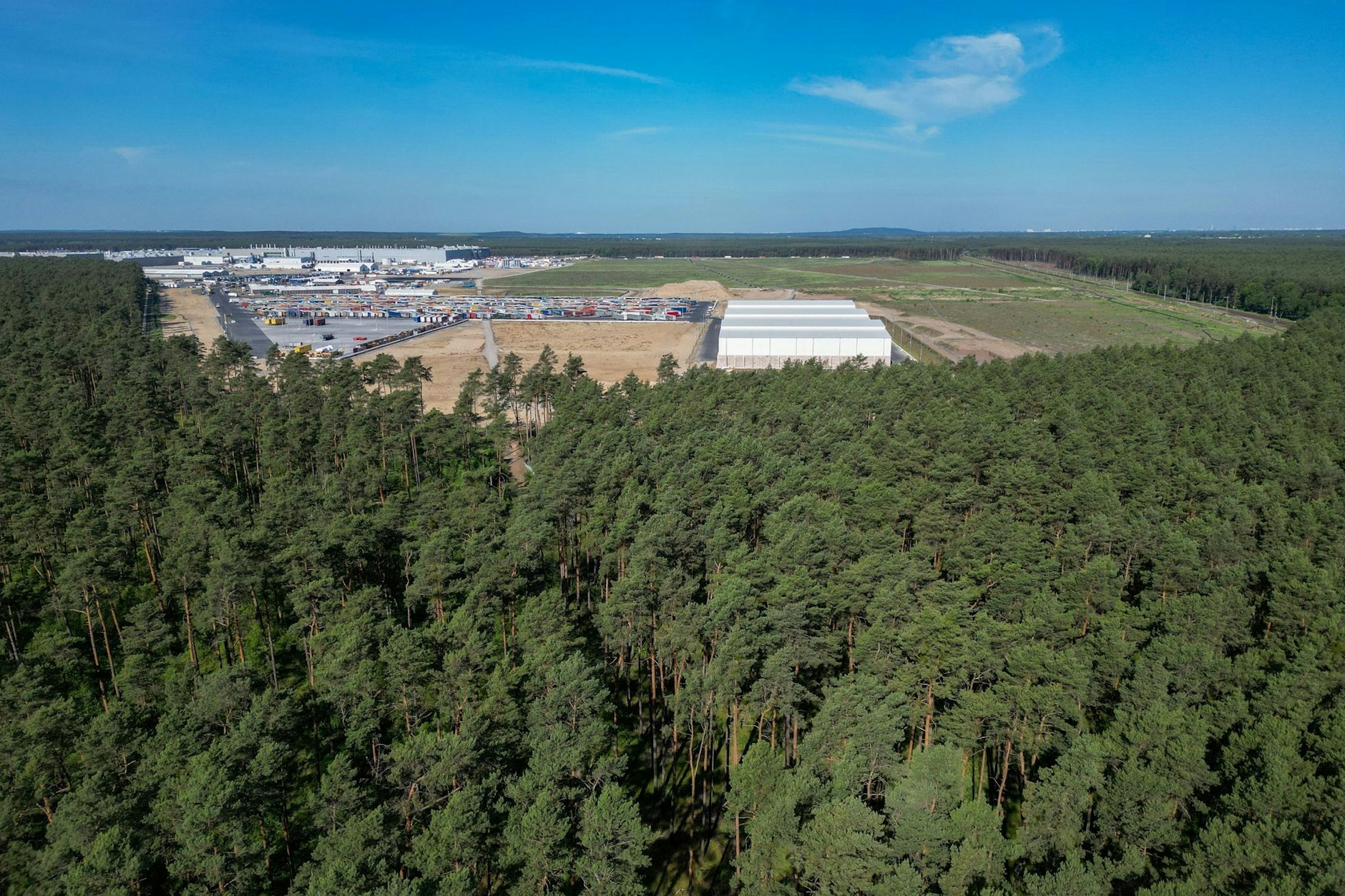 Dichter Wald steht am östlichen Teil des Werksgeländes der Tesla Gigafactory.